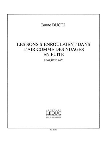 Bruno ducol: les sons s'enroulaient dans l'air... (flute solo) book