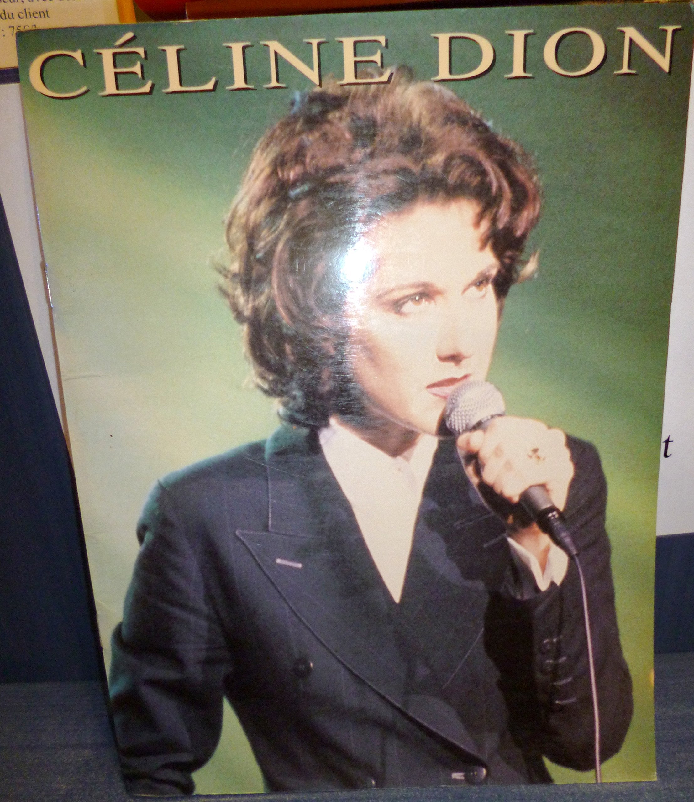 CELINE DION: GRANDS SUCCES PIANO, VOIX, GUITARE Sheet Music
