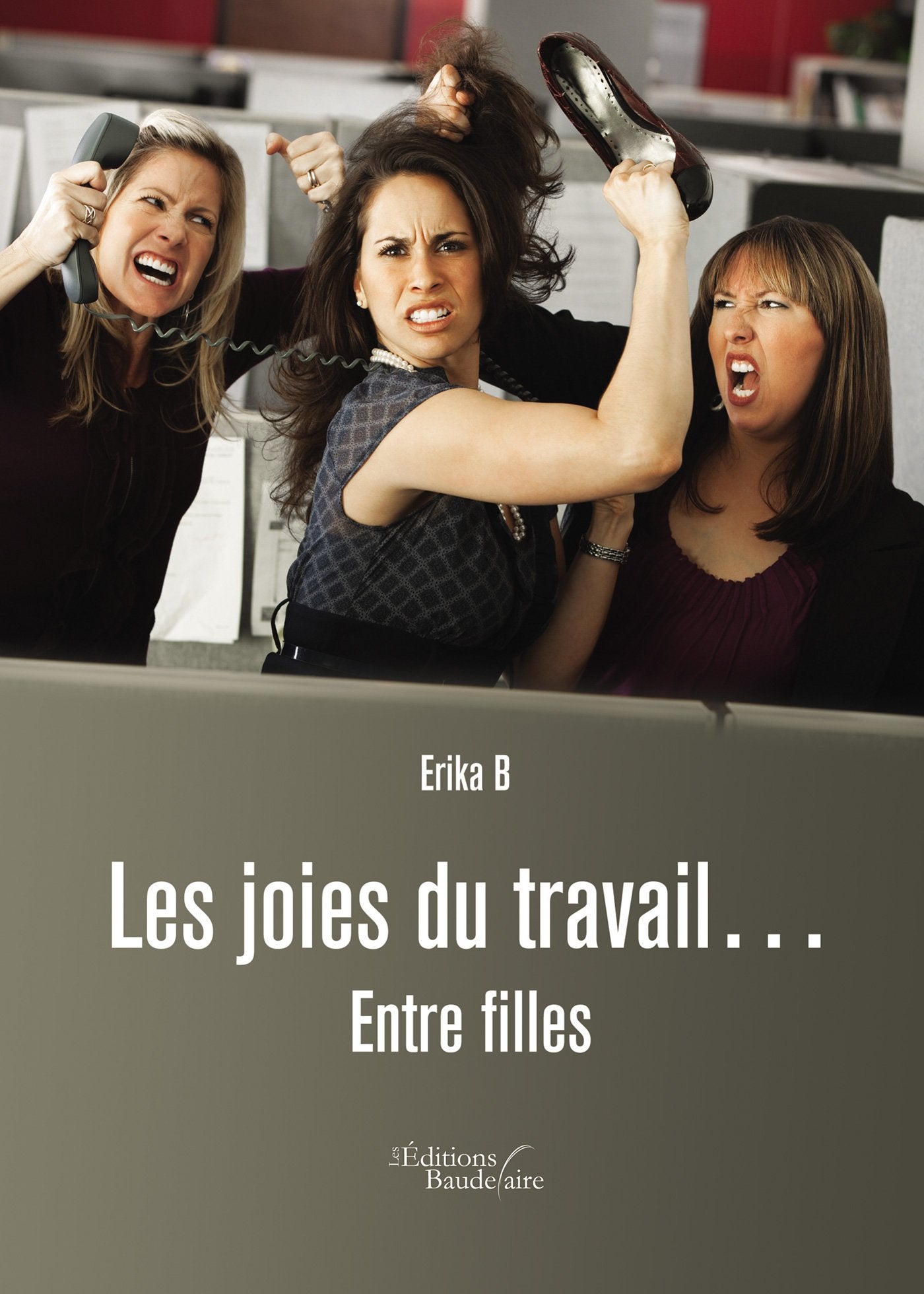 Les joies du travail... entre filles book