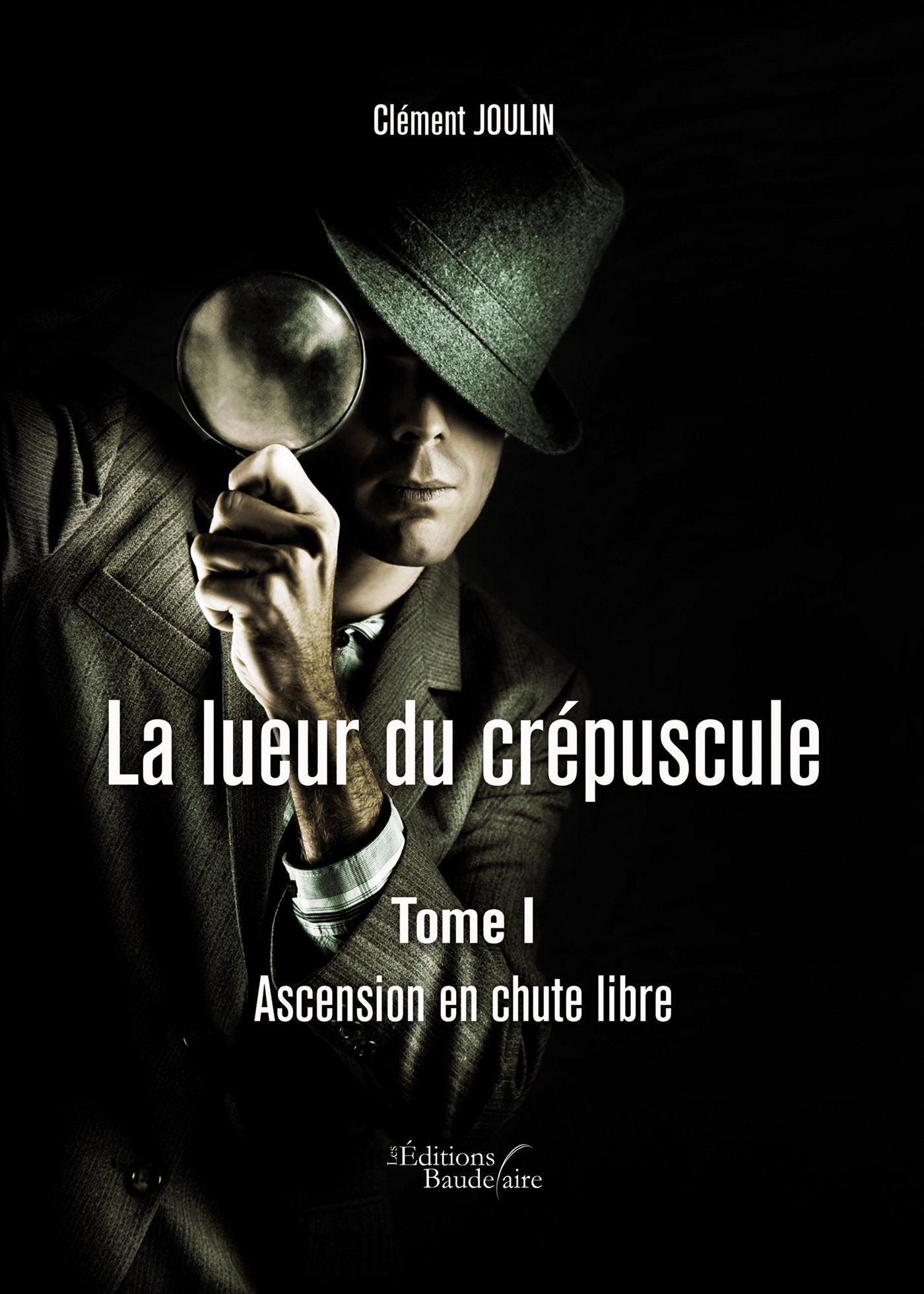 La lueur du crépuscule: Tome I : Ascension en chute libre book