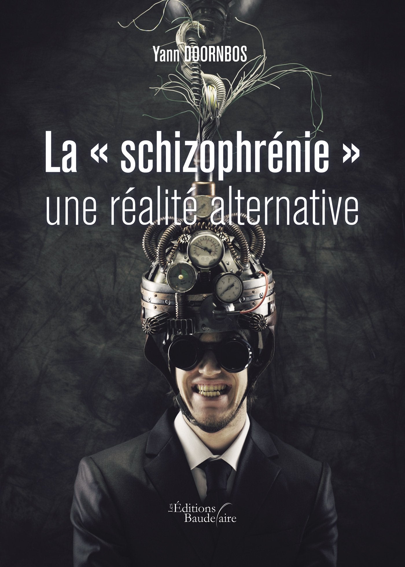 LA «SCHIZOPHRENIE» UNE REALITE ALTERNATIVE Contemporary literature