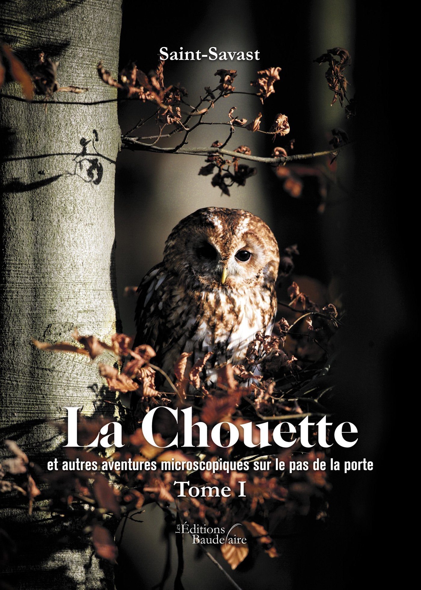La chouette et autres aventures microscopiques au pas de porte - tome I Memories