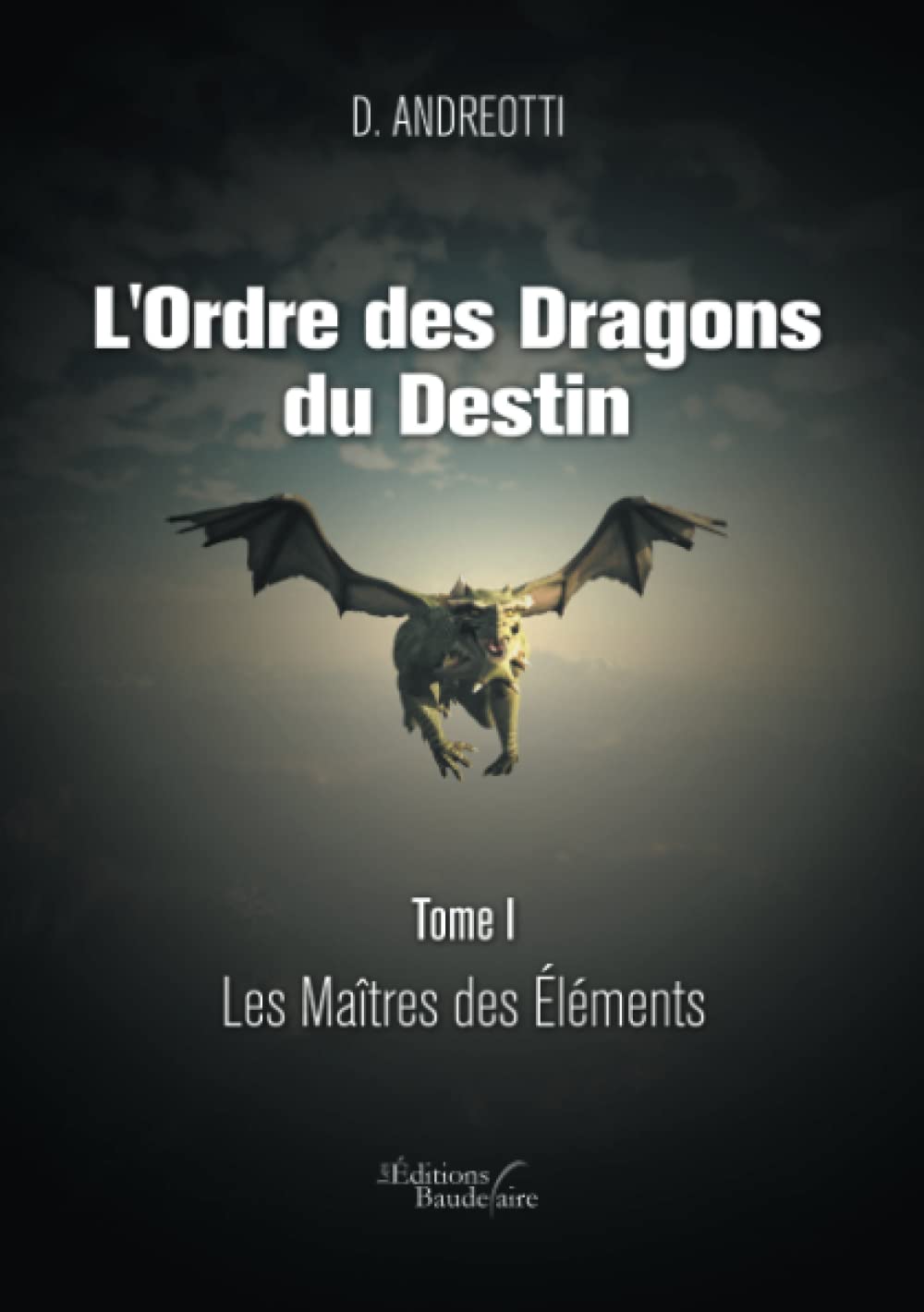 L'Ordre des Dragons du Destin - Tome I : Les Maîtres des Eléments book