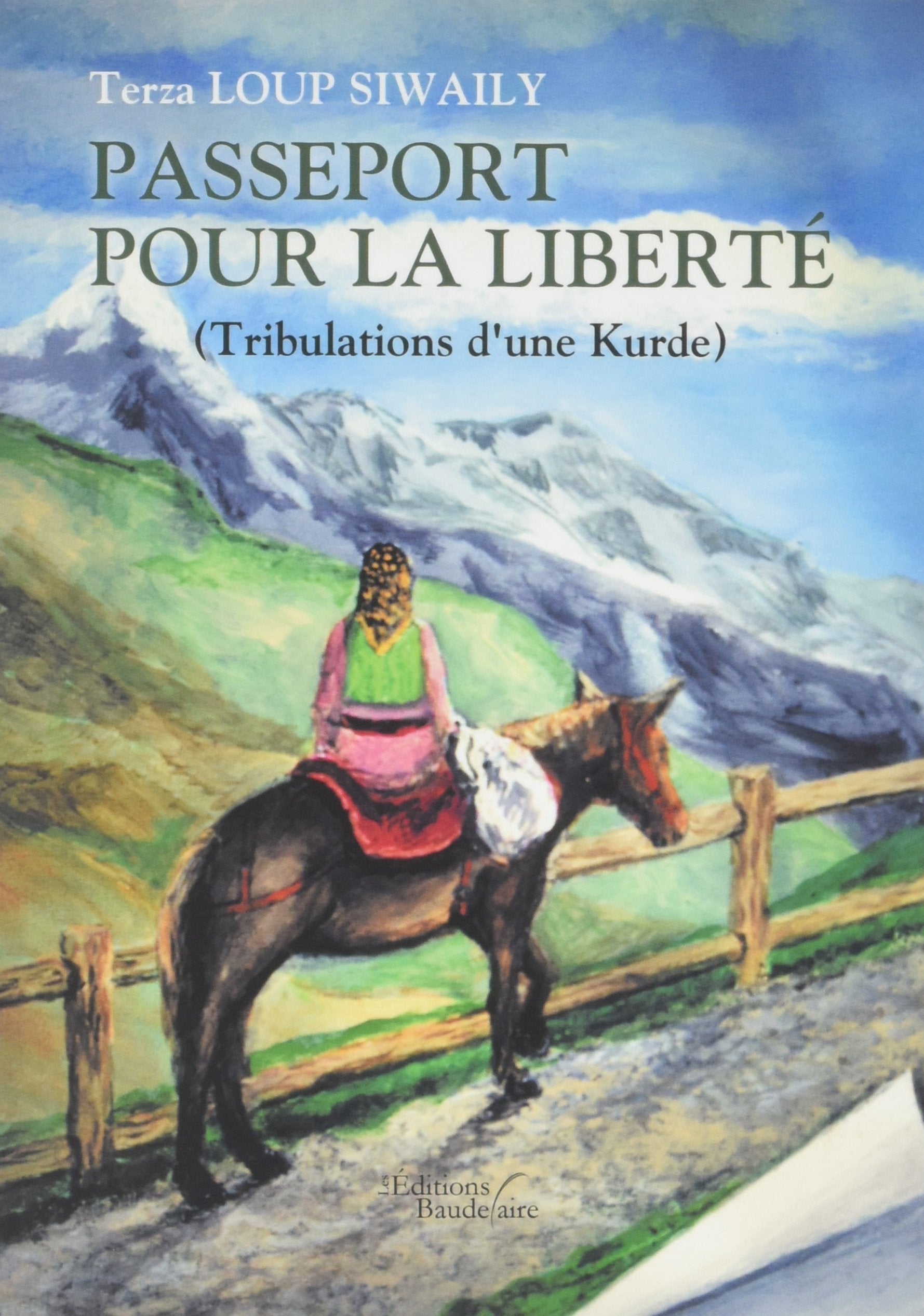Passeport pour la liberté (Tribulations d'une Kurde) book