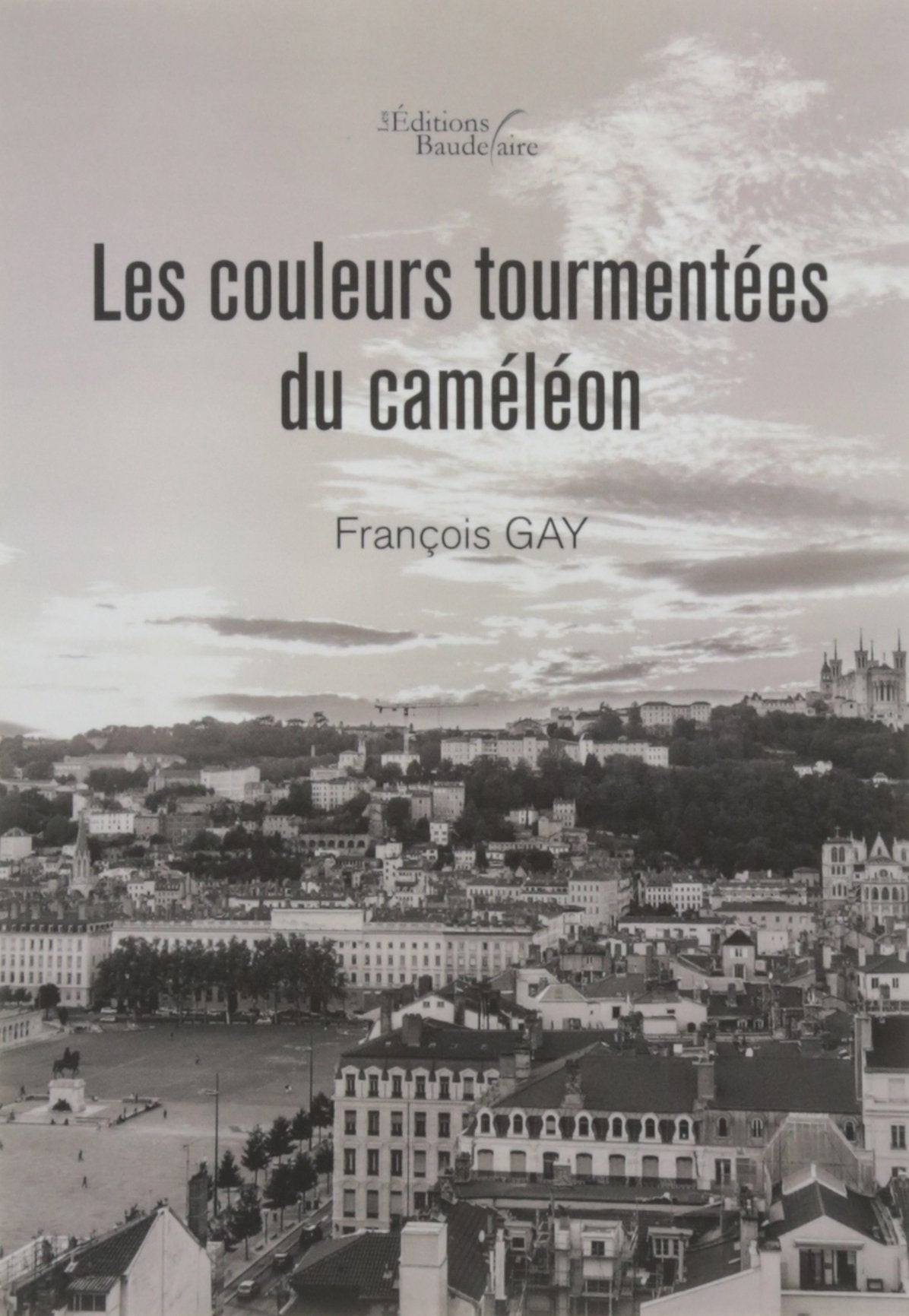 Les couleurs tourmentées du caméléon Books