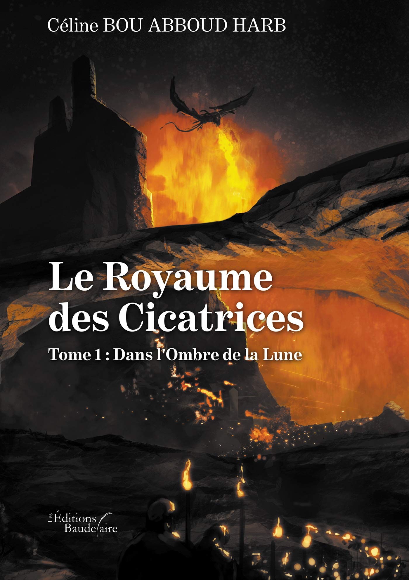 Le Royaume des Cicatrices - Tome 1 : Dans l'Ombre de la Lune book