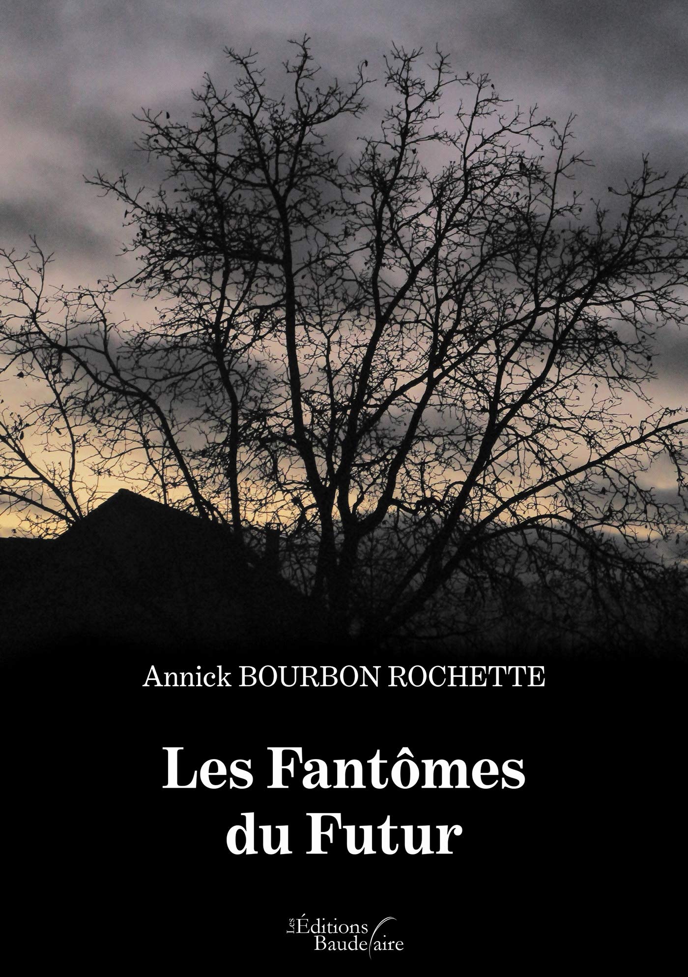 Les Fantômes du Futur book