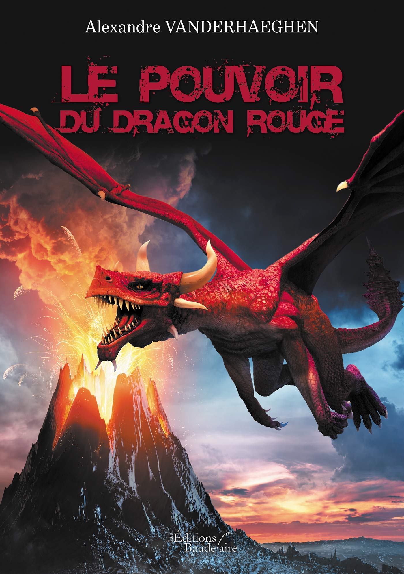 Le Pouvoir du Dragon Rouge book