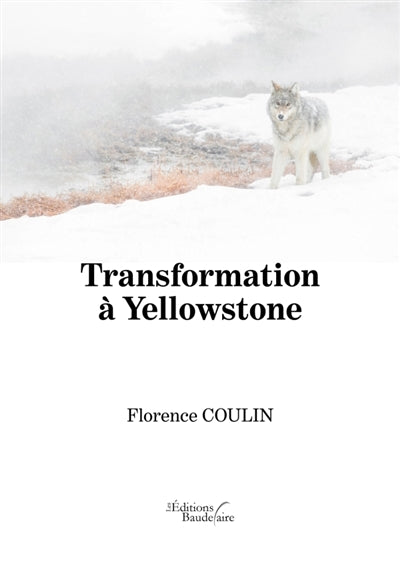 Product Image: Transformation à Yellowstone