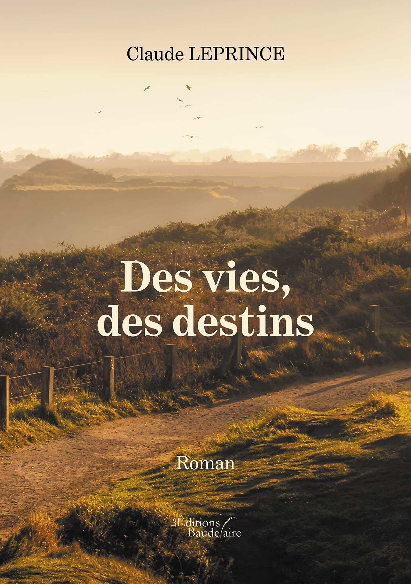 Des vies, des destins book
