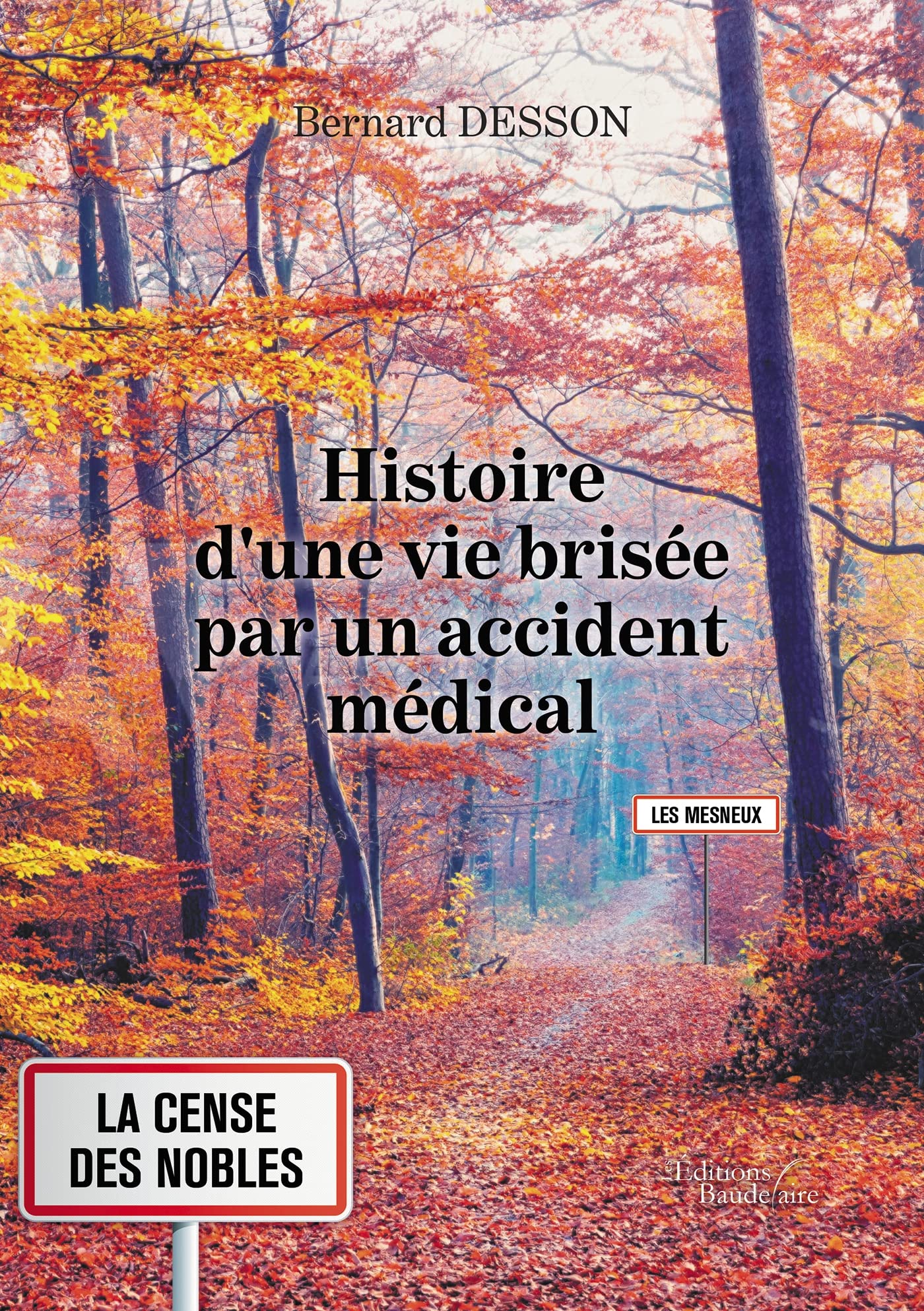 Histoire d'une vie brisée par un accident médical book