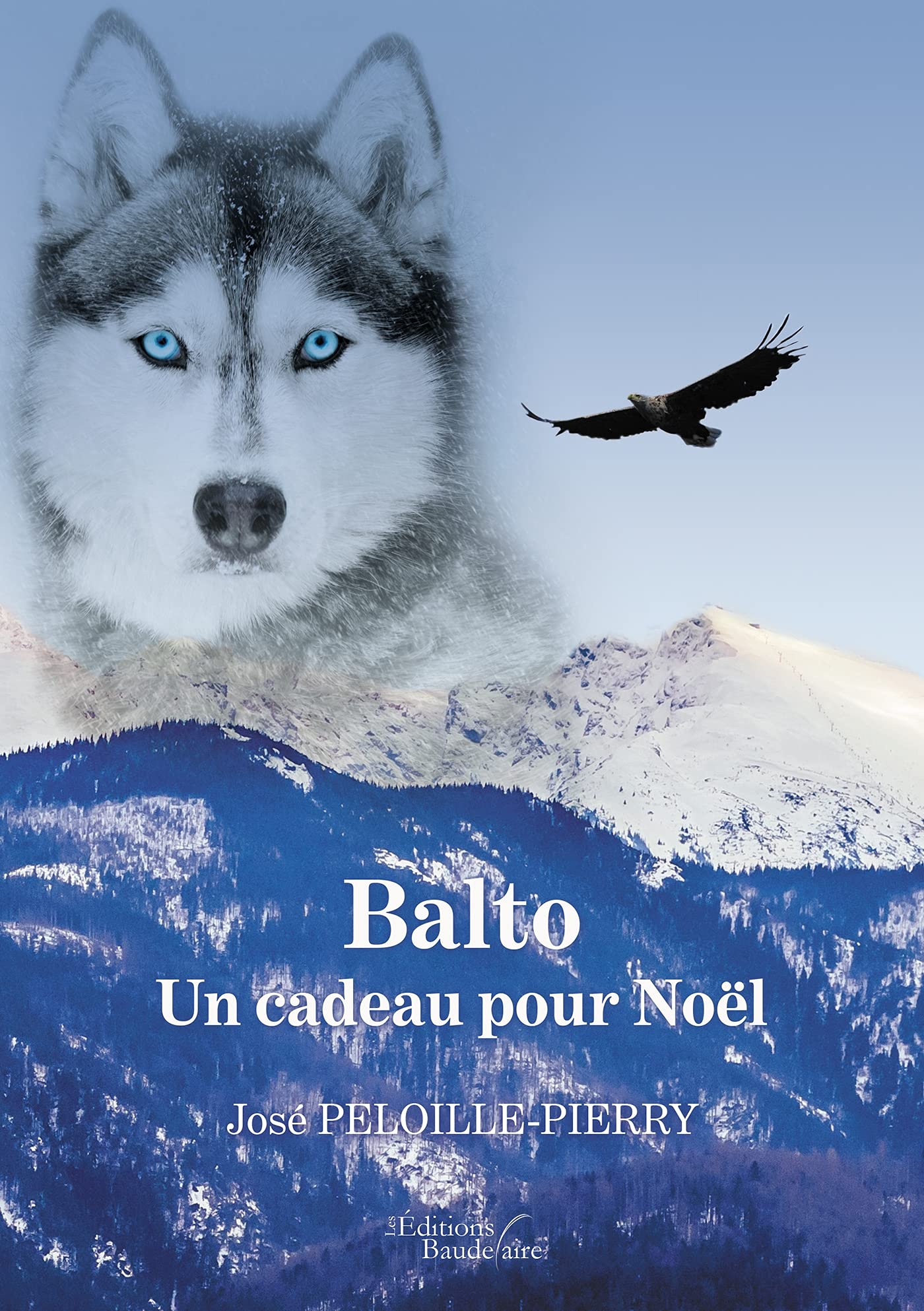 Balto - Un cadeau pour Noël book
