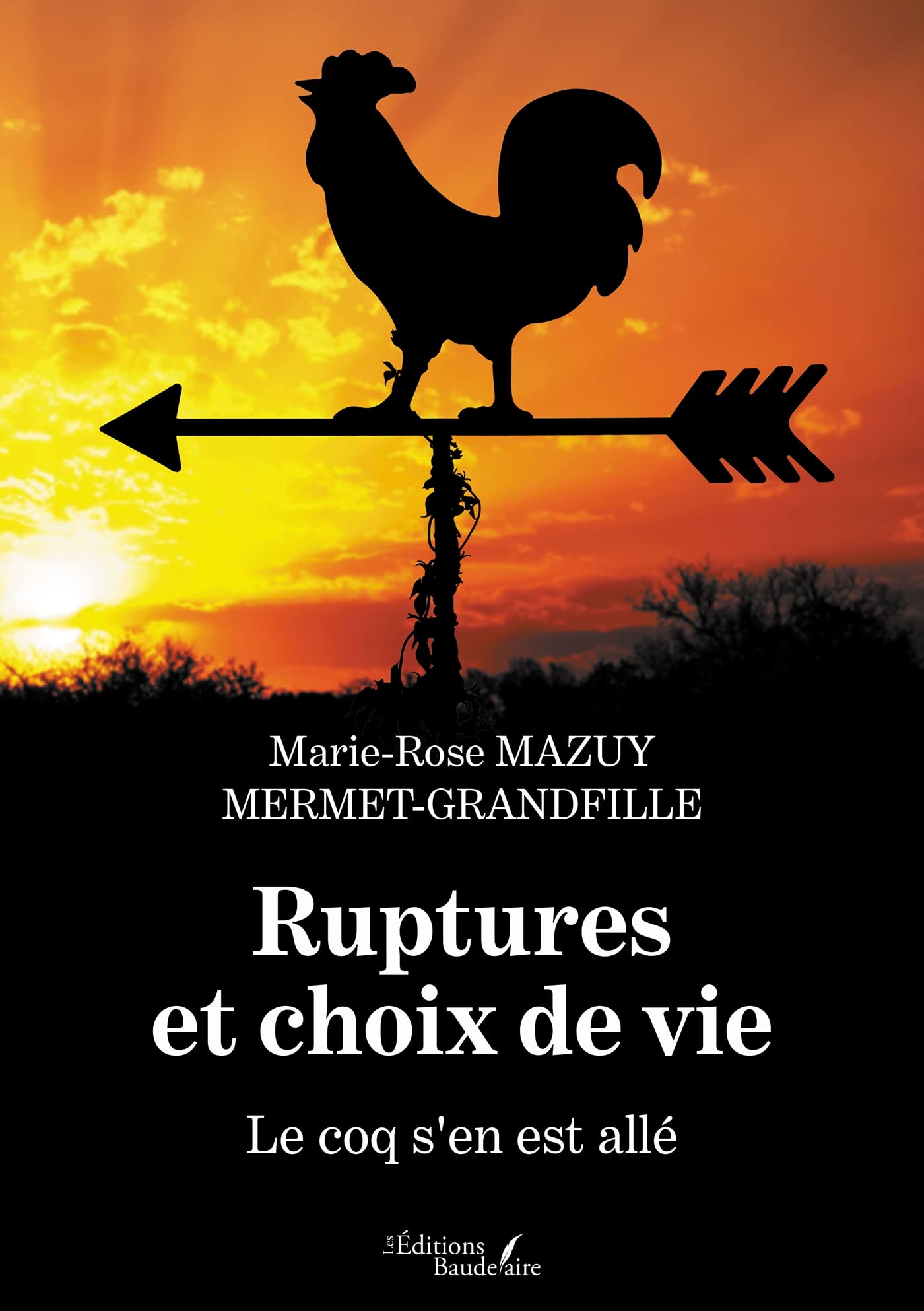 Ruptures et choix de vie - Le coq s'en est allé book