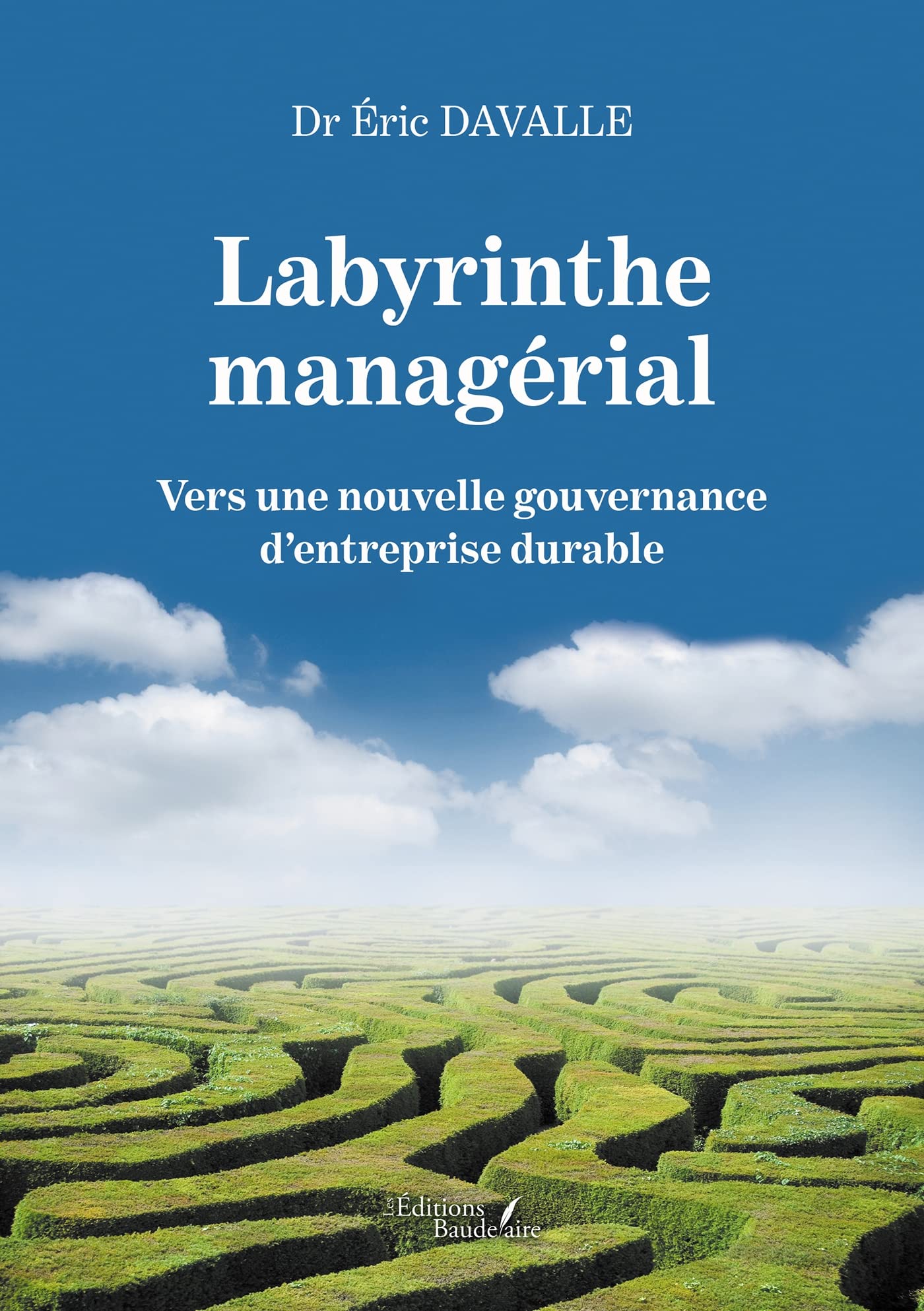Labyrinthe managérial - Vers une nouvelle gouvernance d'entreprise durable book
