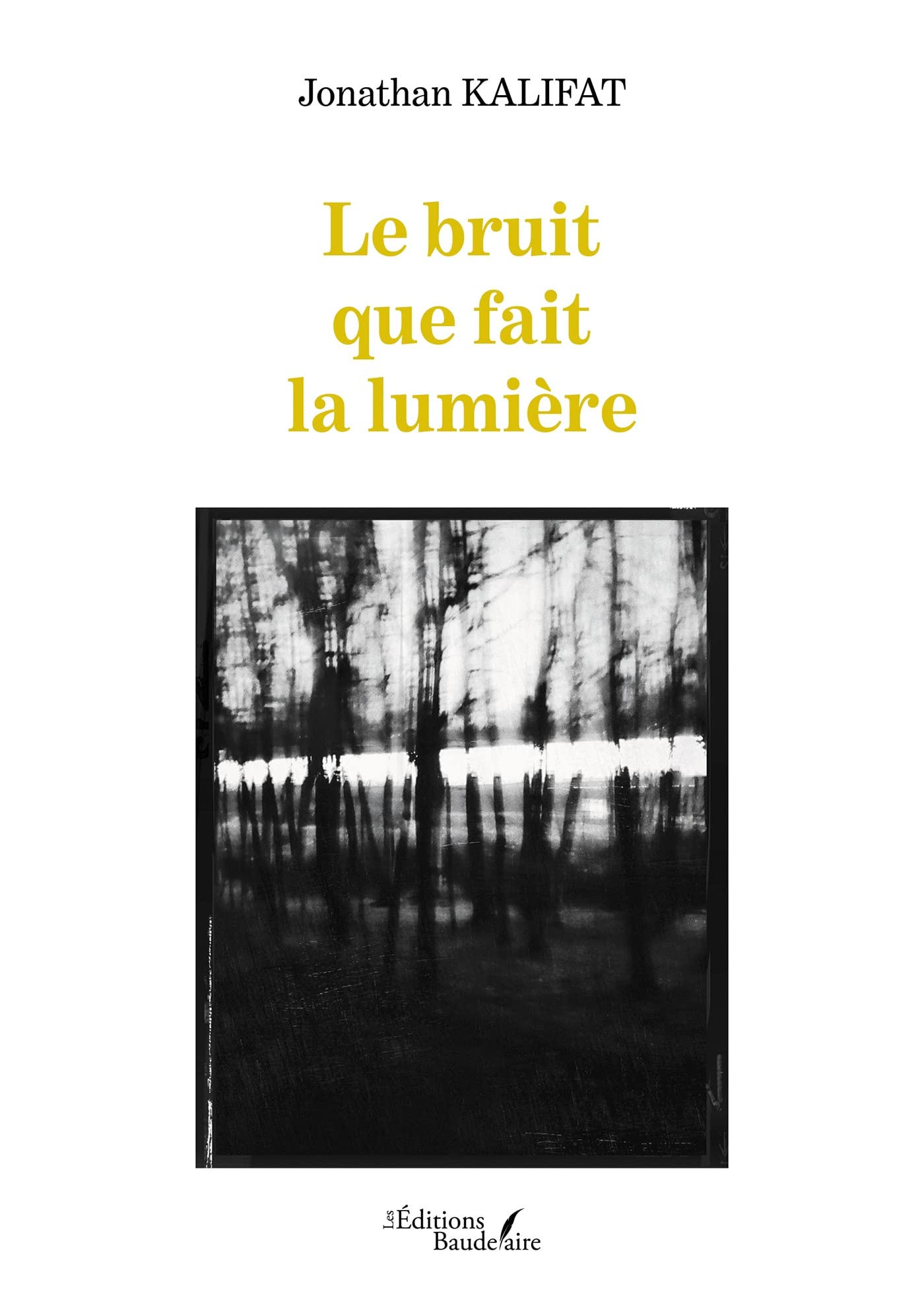 Le bruit que fait la lumière book