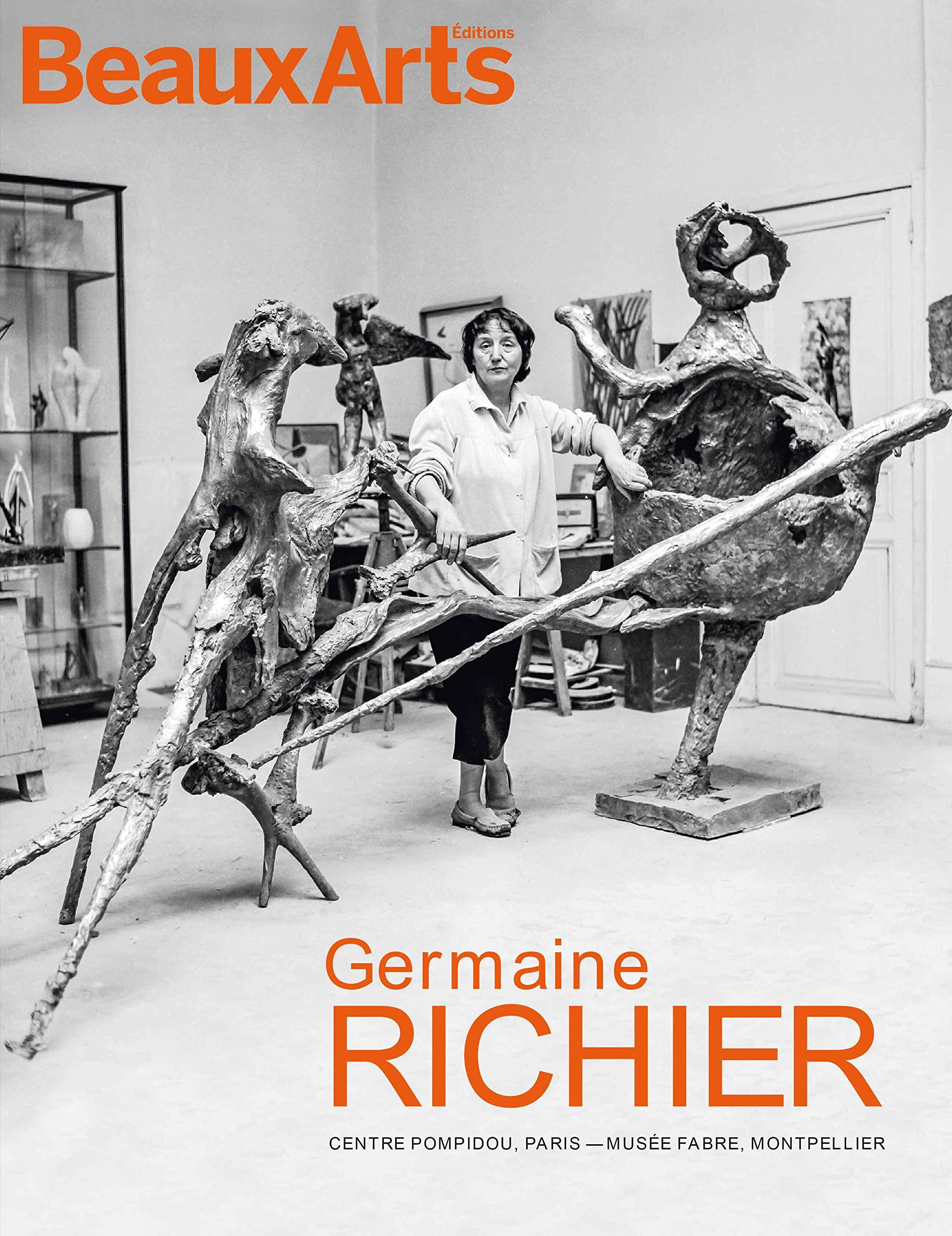 Germaine richier: AU CENTRE POMPIDOU & AU MUSEE FABRE book