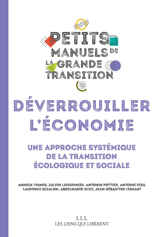 Déverrouiller l'économie: Une approche systémique de la transition écologique et sociale book