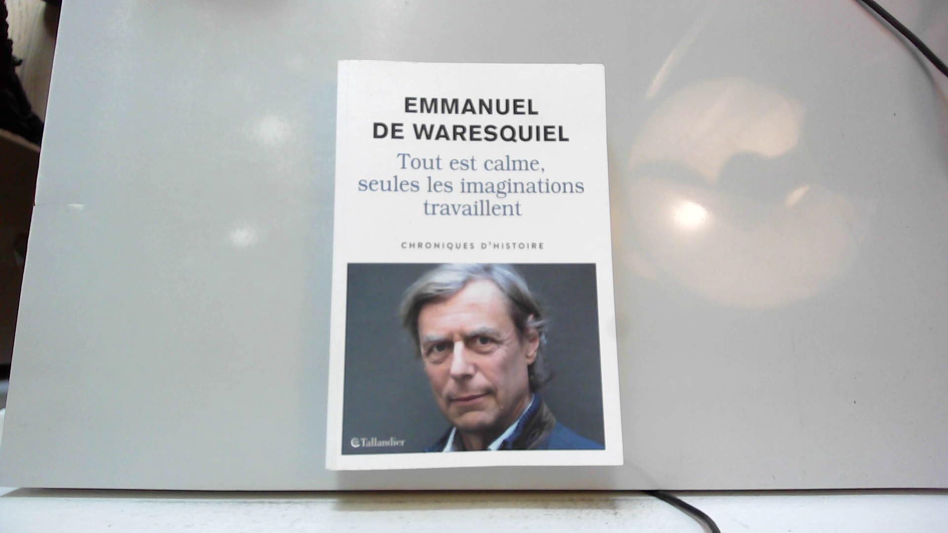 Tout est calme, seules les imaginations travaillent: CHRONIQUES D'HISTOIRE book