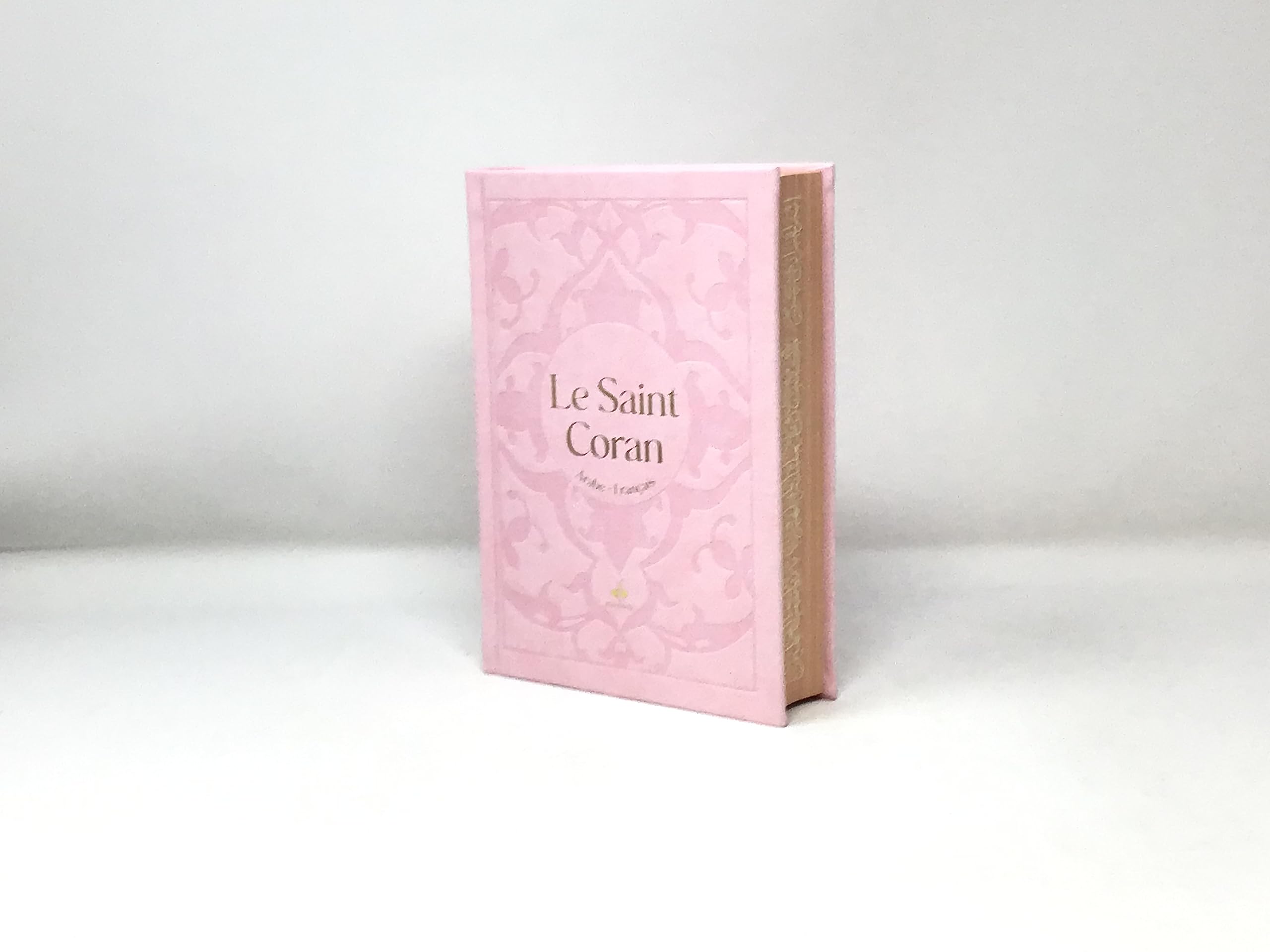 Saint Coran (15 X 21 Cm) avec Pages Arc-en-Ciel (Rainbow) - Bilingue (Fr/Ar) - Couverture Daim Rose book