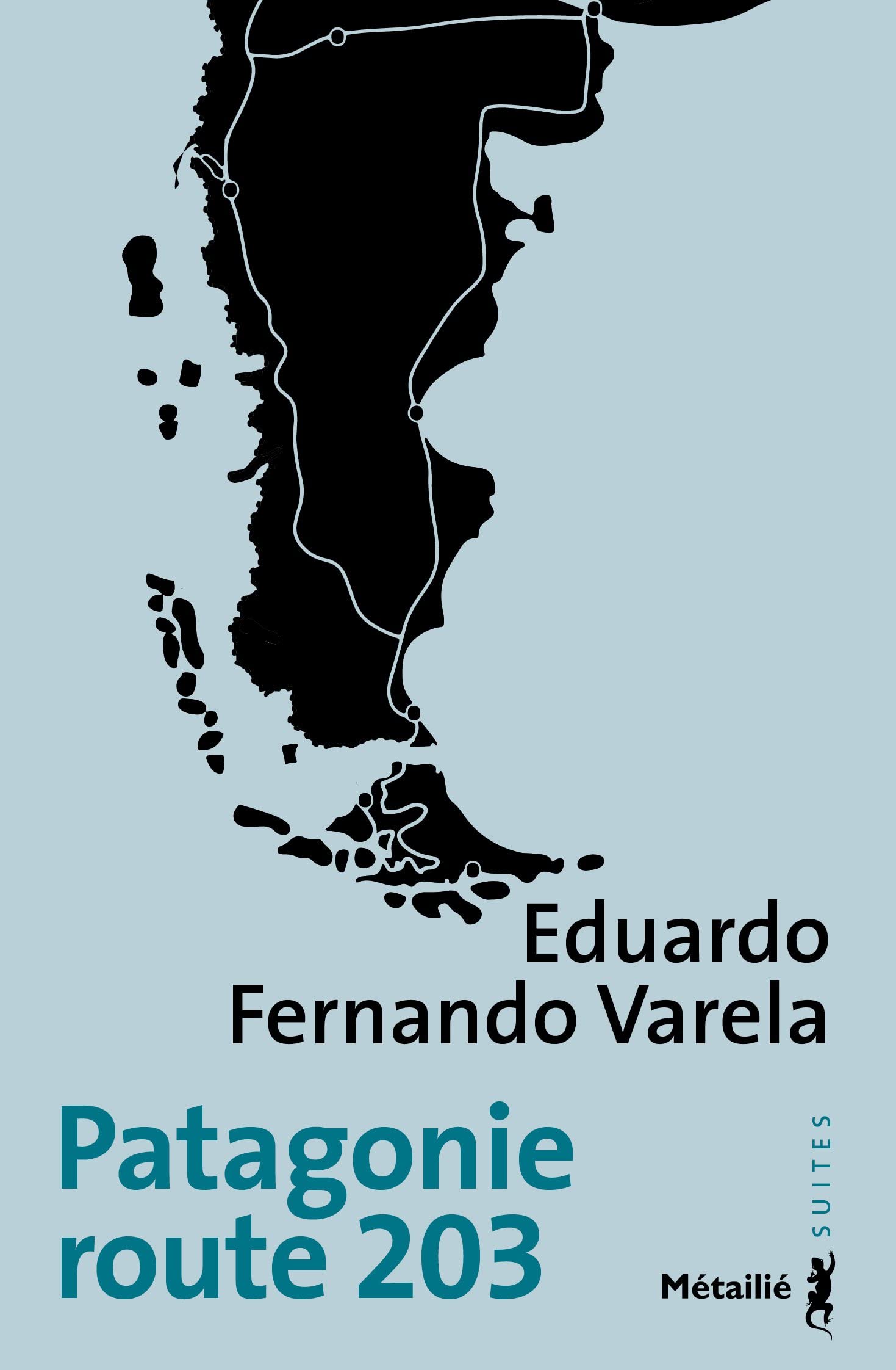 Patagonie route 203 book