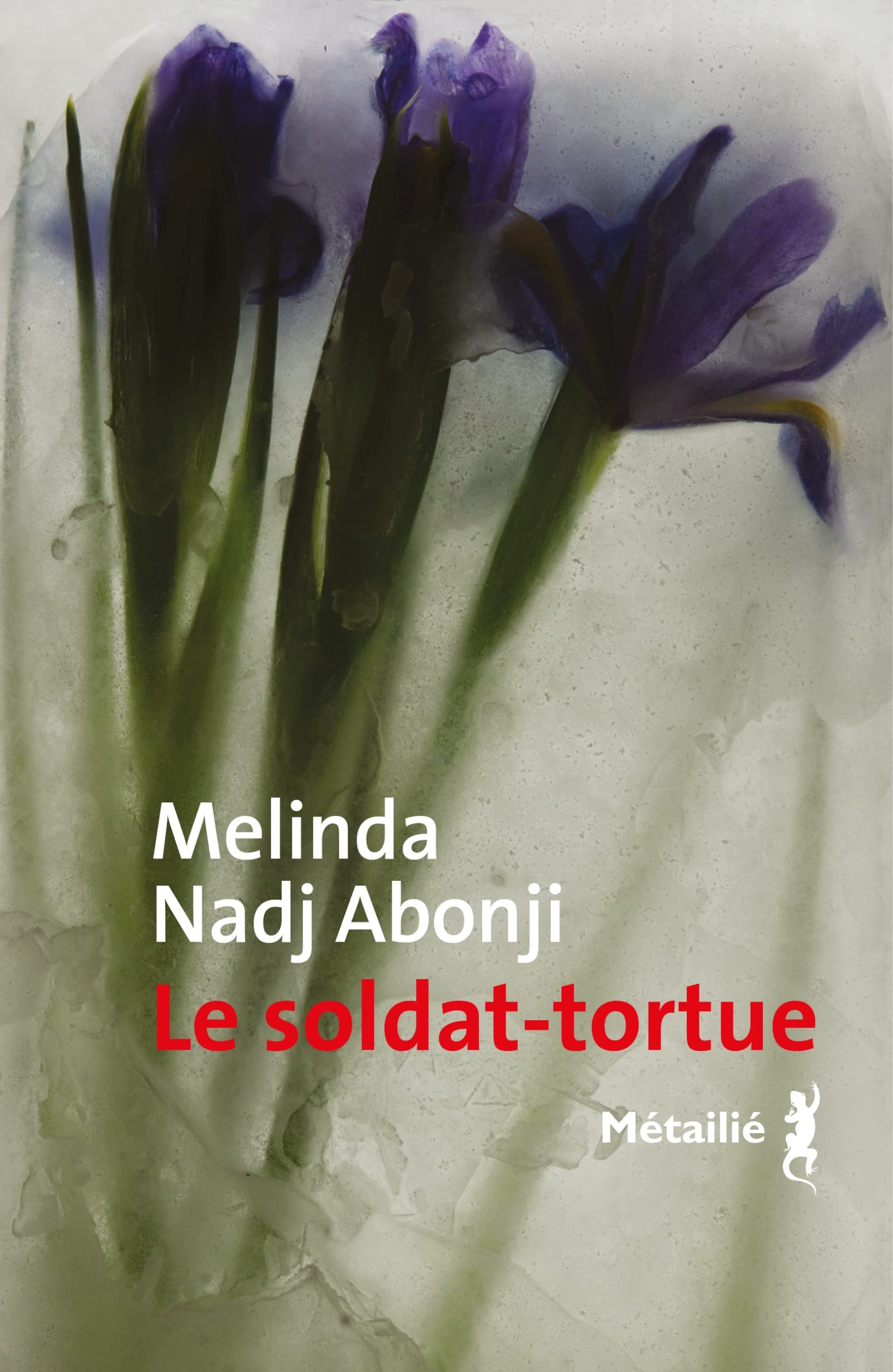 Le Soldat-tortue book