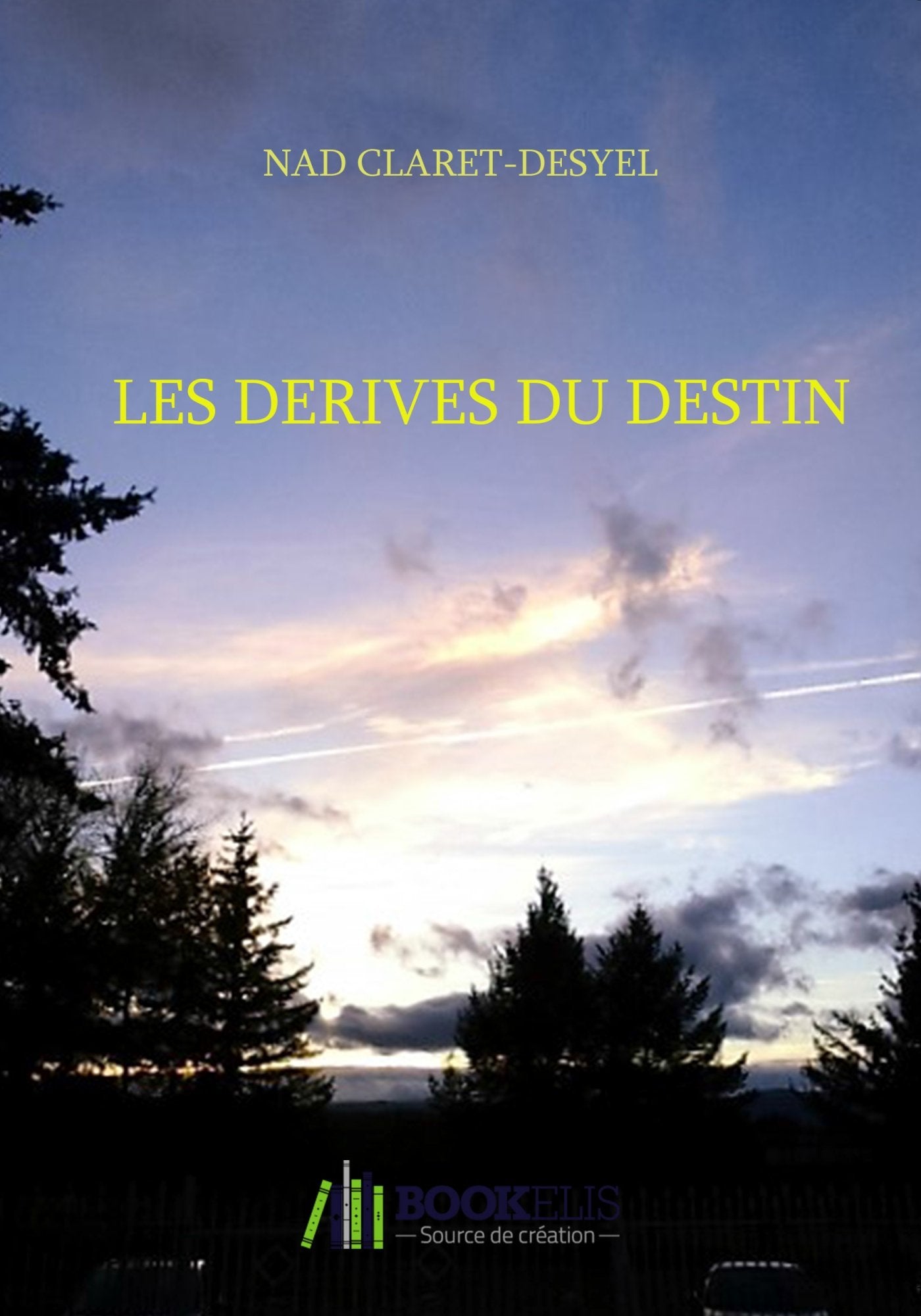 LES DÉRIVES DU DESTIN: Tome 1 La quête du bonheur Books