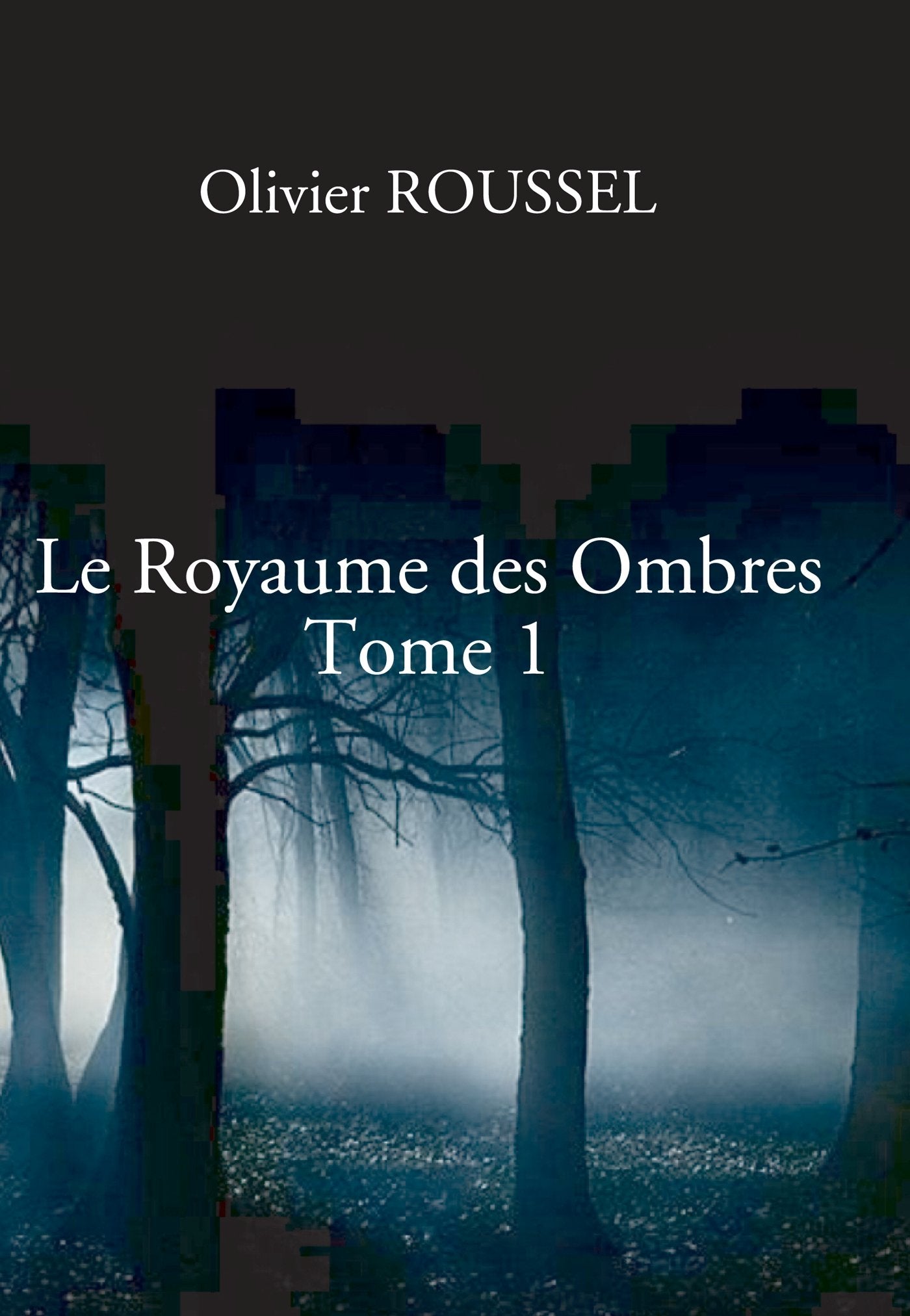 Le Royaume des Ombres: Tome 1 book