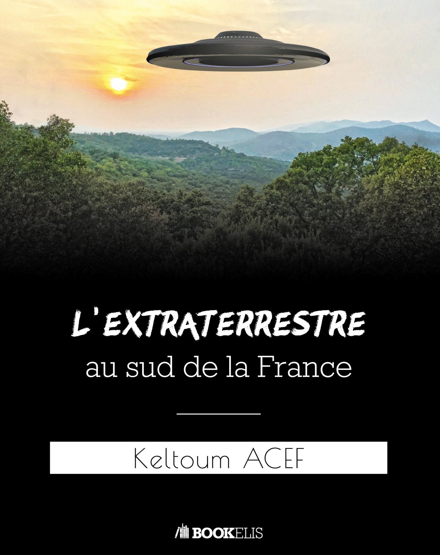 L'extraterrestre au sud de la France book