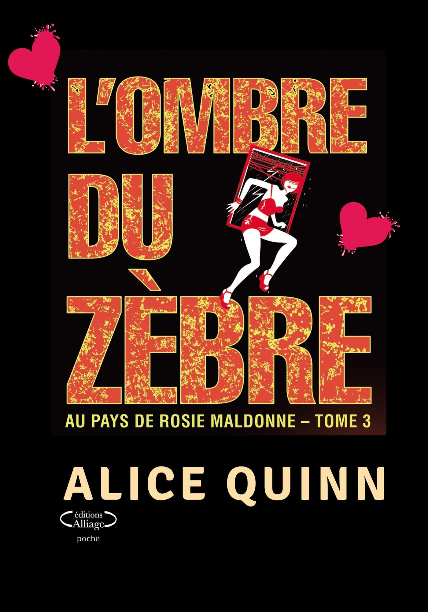 L'OMBRE DU ZÈBRE: Ay pays de Rosie maldonne, tome 3 Crime & Thrillers