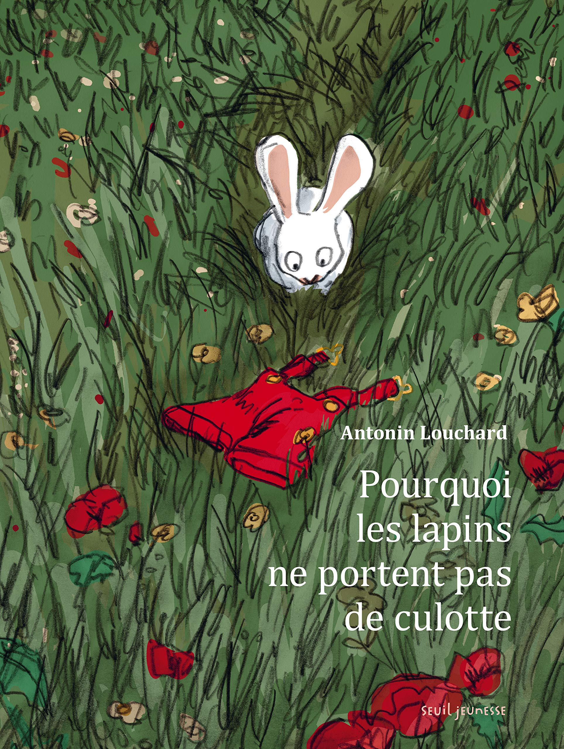 Pourquoi les lapins ne portent pas de culotte ? Children's books