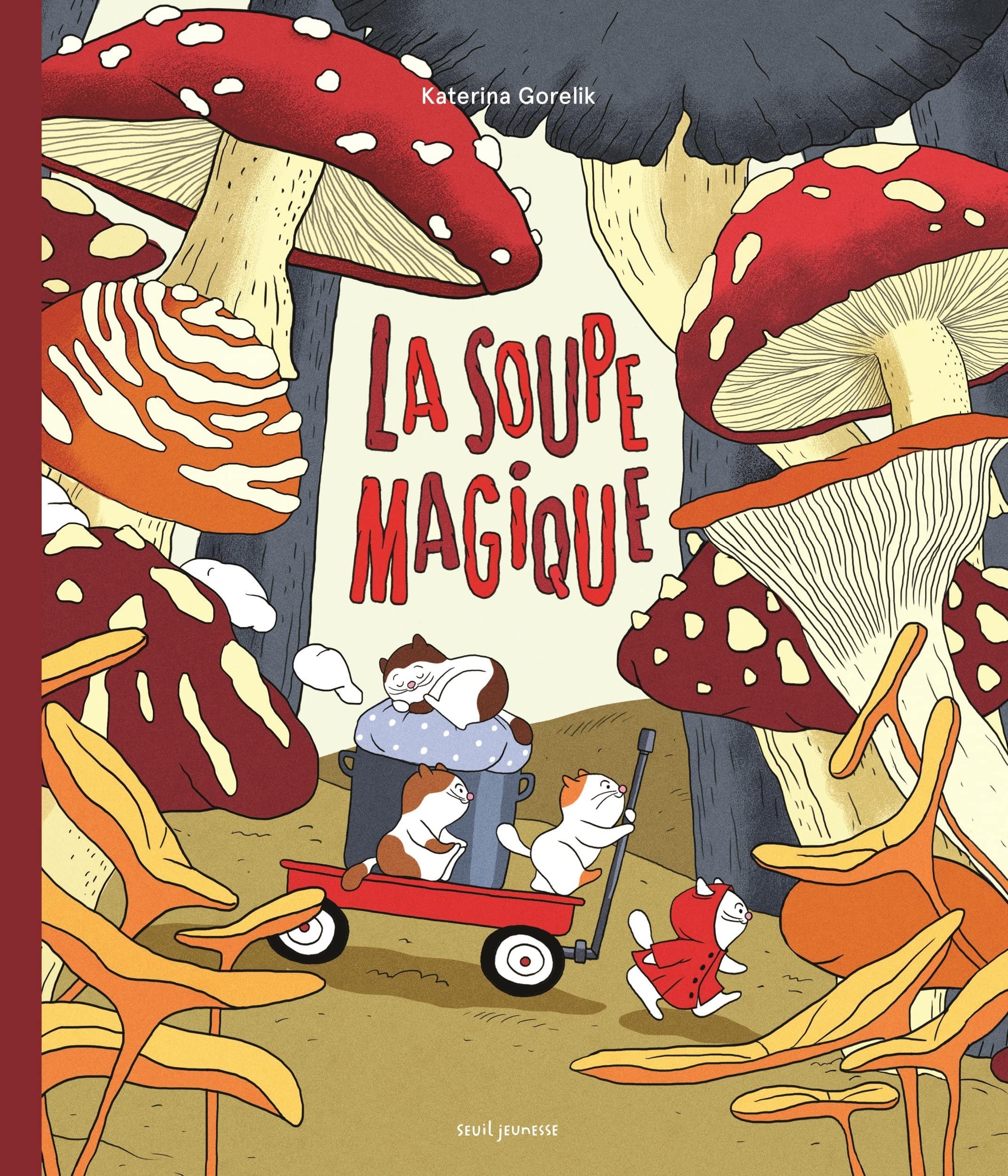 La Soupe magique book