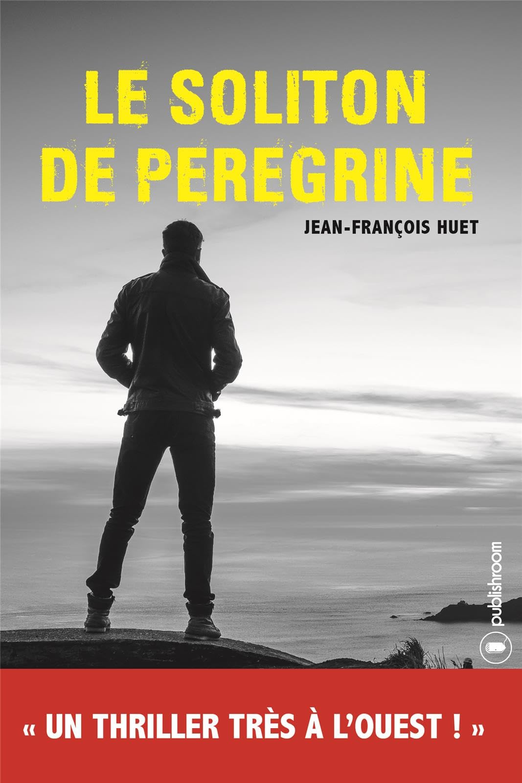 LE SOLITON DE PEREGRINE book