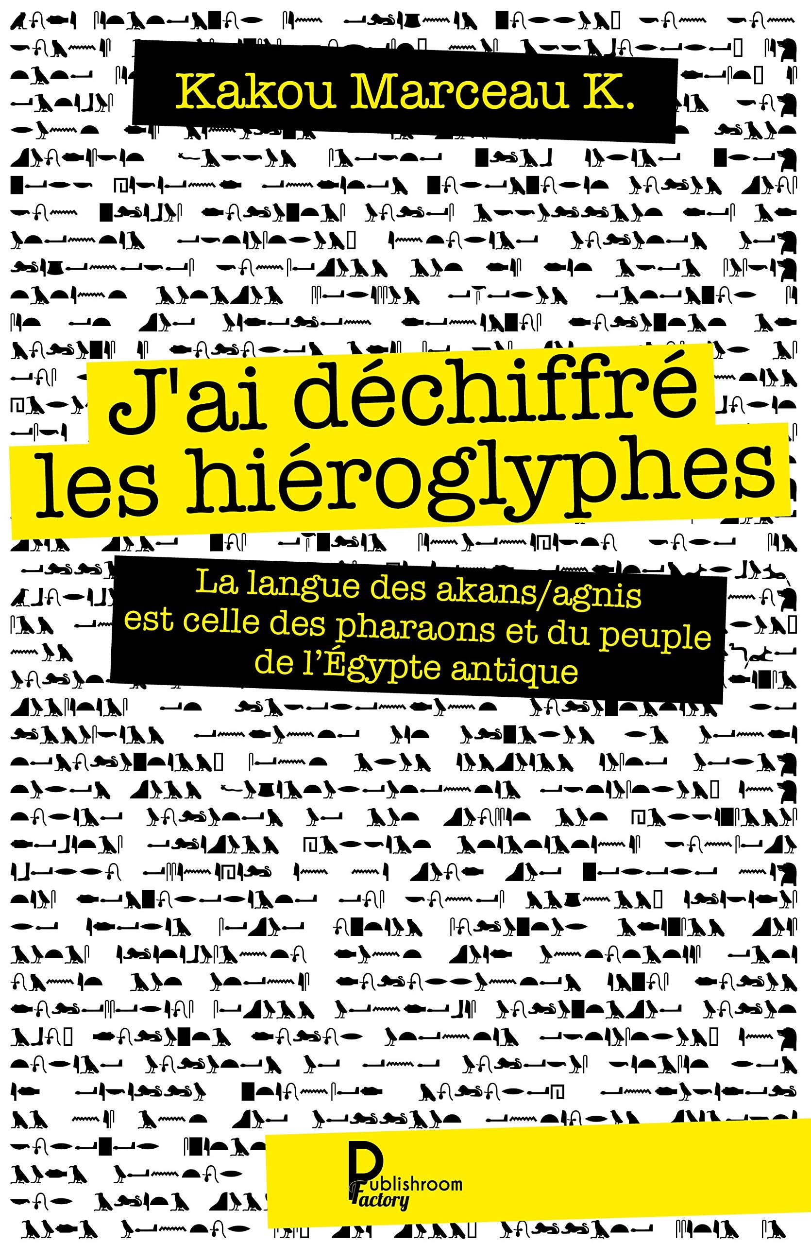 J'ai déchiffré les hiéroglyphes: La langue des Akans/Agnis est celle des pharaons et du peuple de l'Egypte antique book