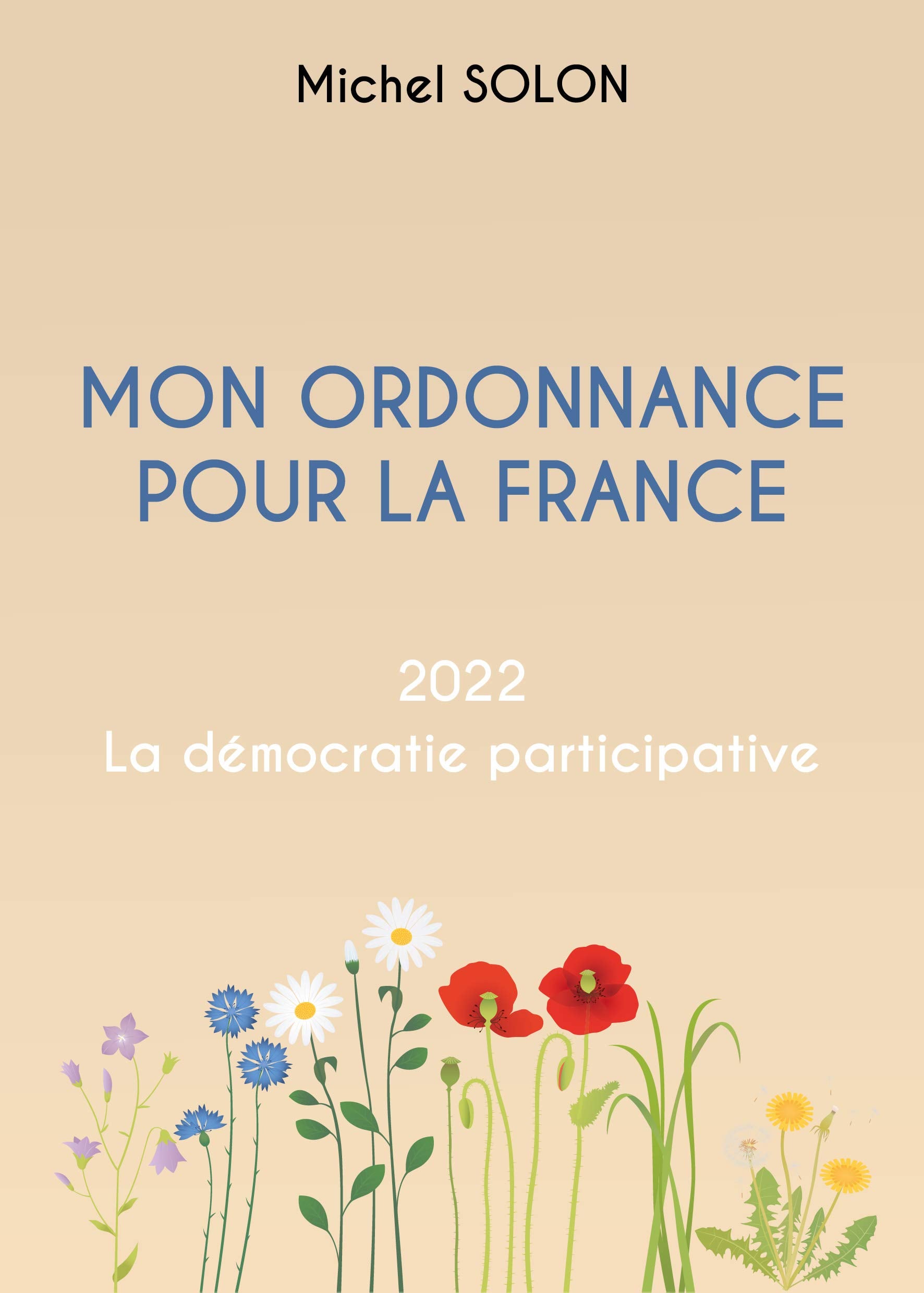 Mon ordonnance pour la France: 2022 La démocratie participative book