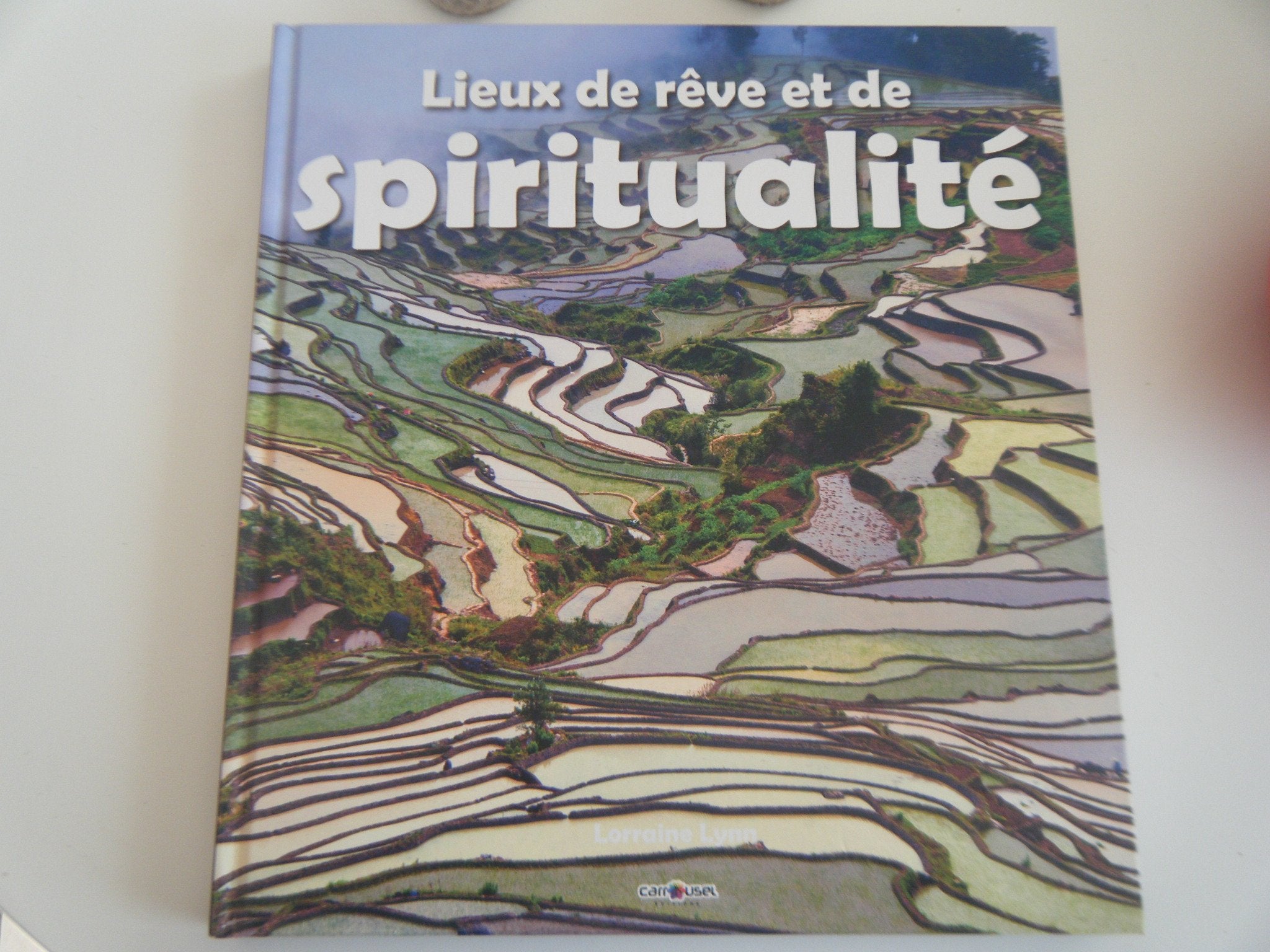 Lieux de rêve et de spiritualité book