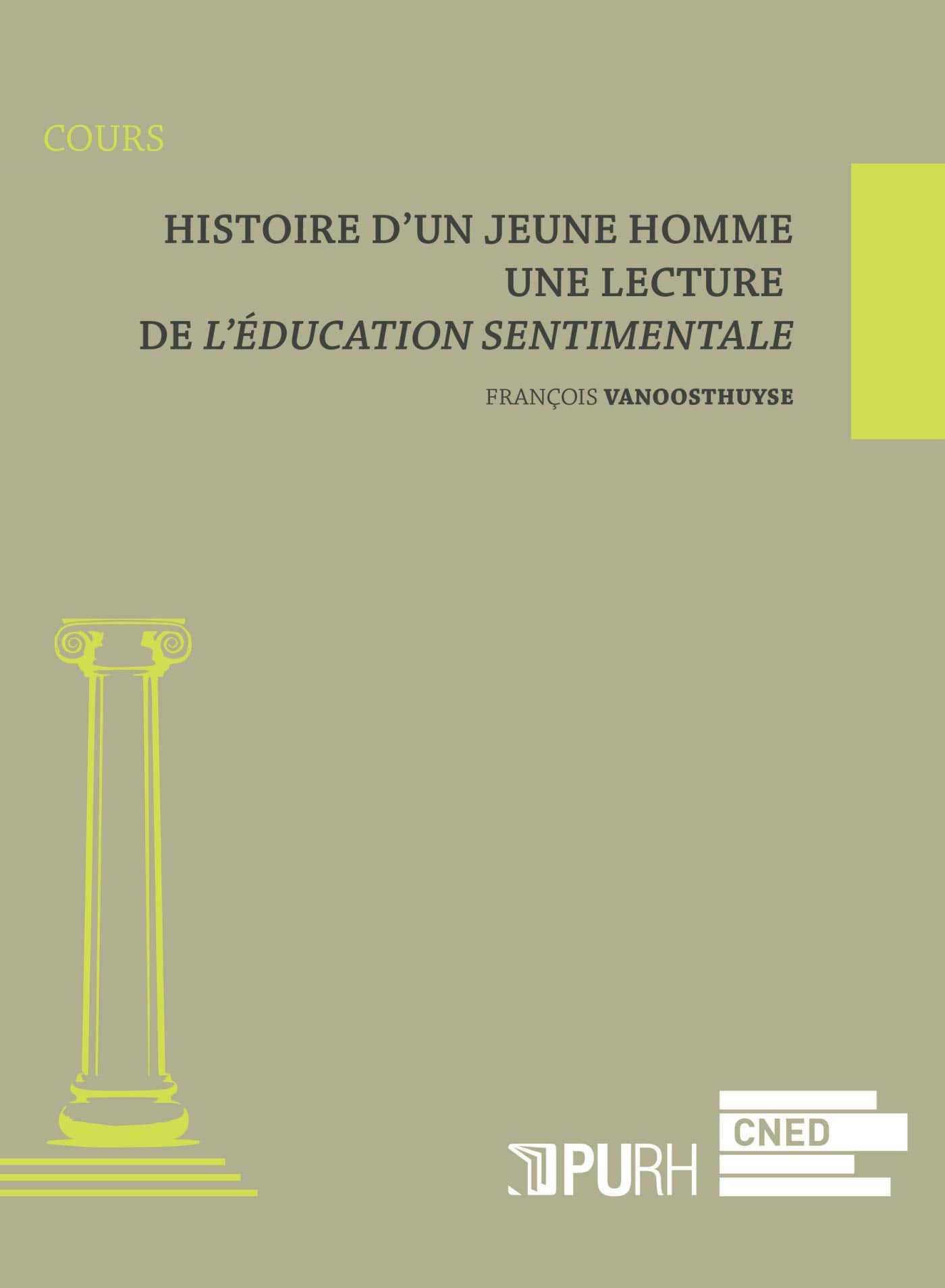 Histoire d'un jeune homme : Une lecture de L'éducation sentimentale Books