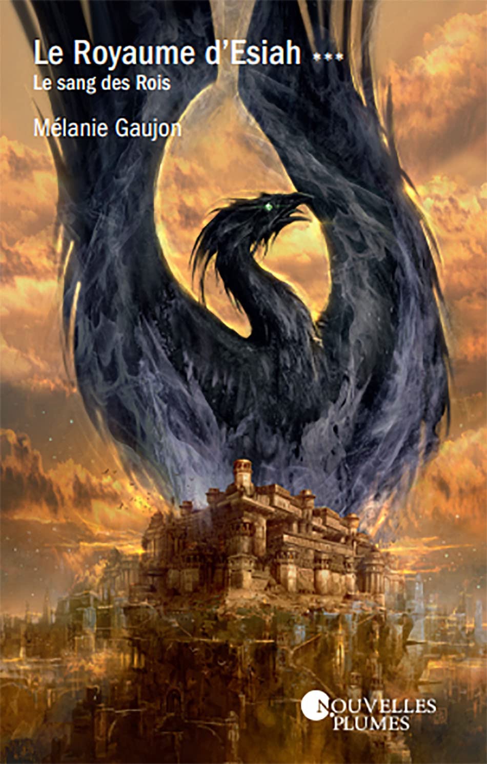Le Royaume d'Esiah : Le sang des rois book