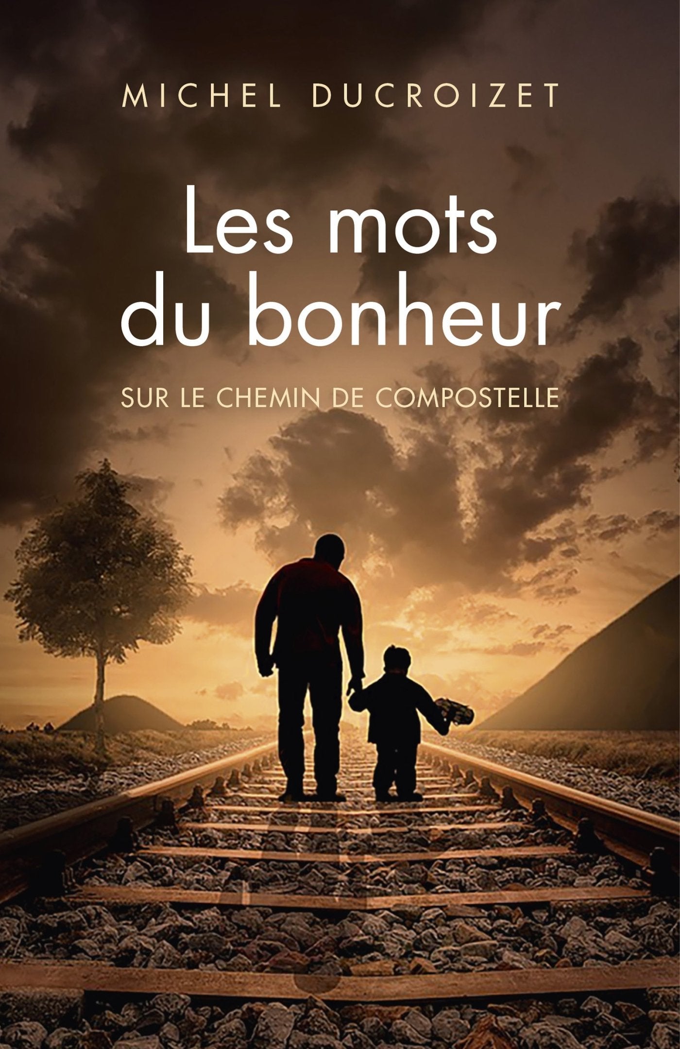 Les mots du bonheur: Sur le chemin de Compostelle book