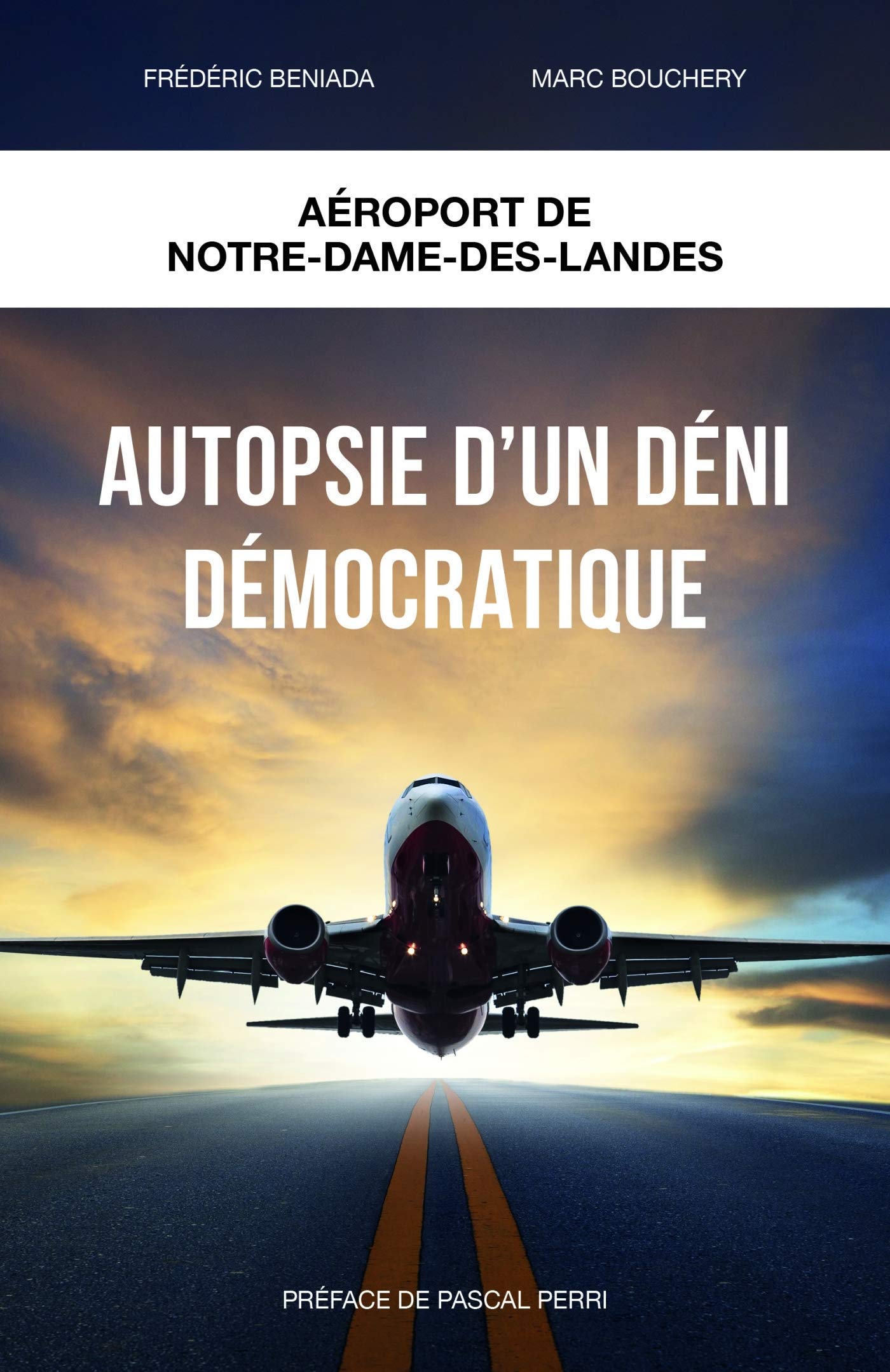 Autopsie d'un déni démocratique: Aéroport Notre-Dame-des-Landes book