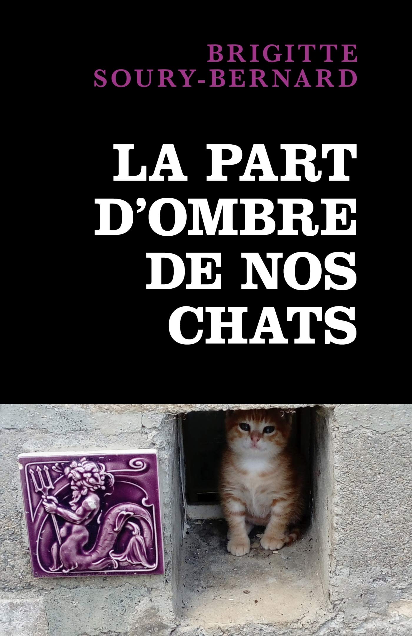 La part d ombre de nos chats Contemporary literature