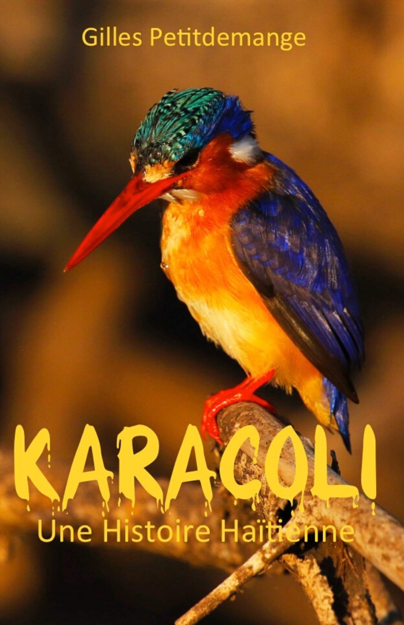 Karacoli: Une histoire haïtienne Contemporary literature