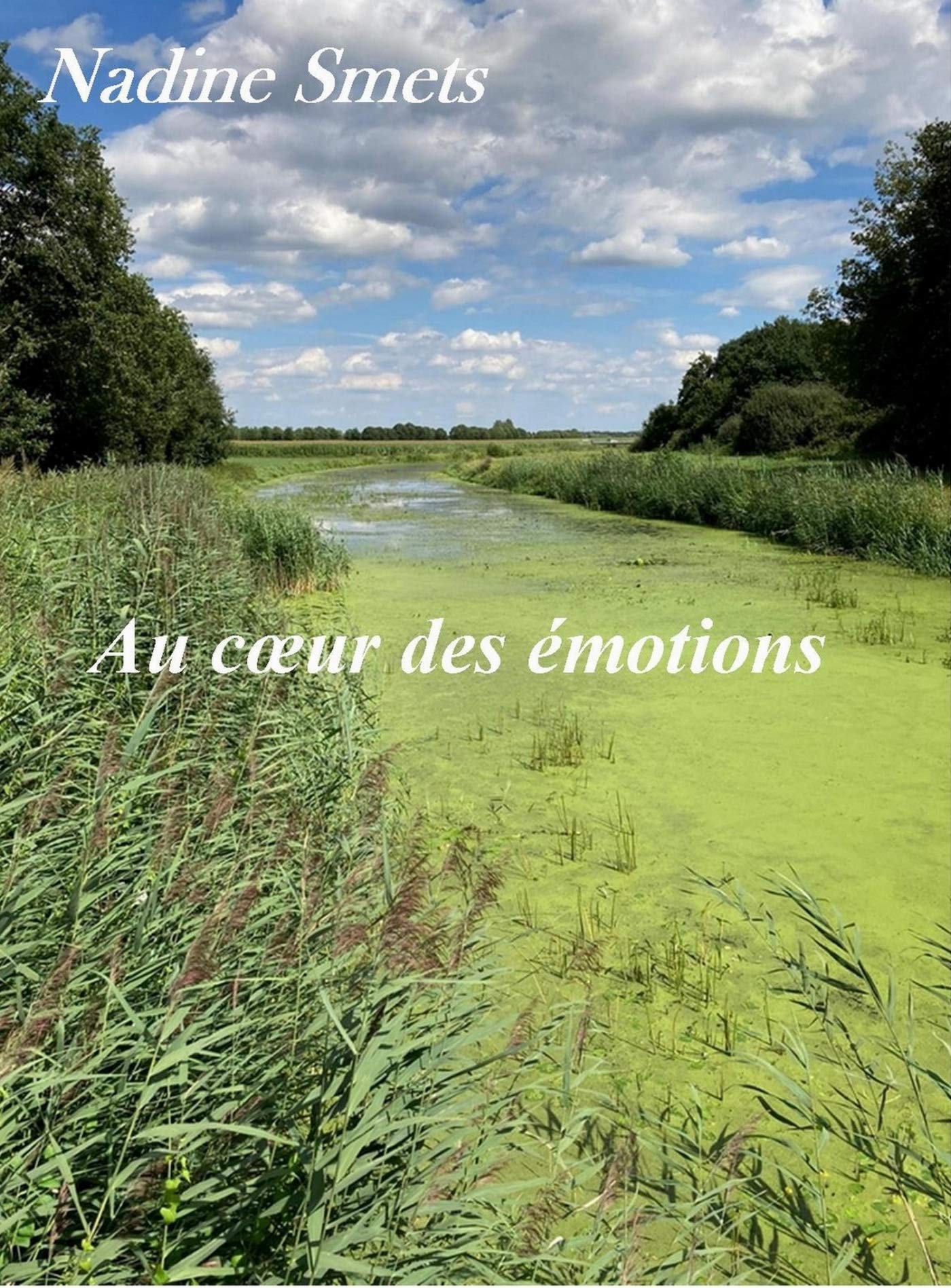 Au coeur des émotions book