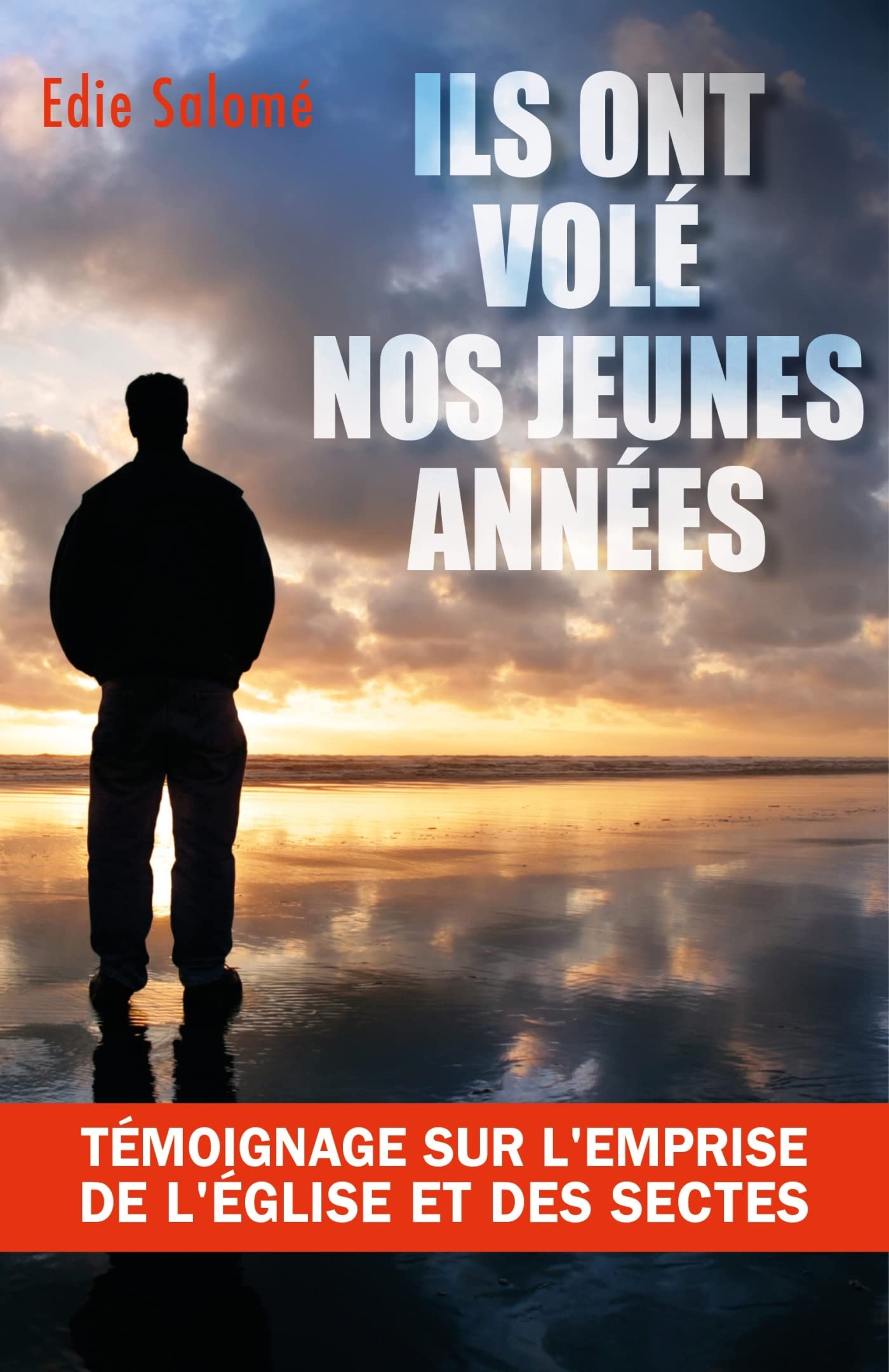 Ils ont volé nos jeunes années book
