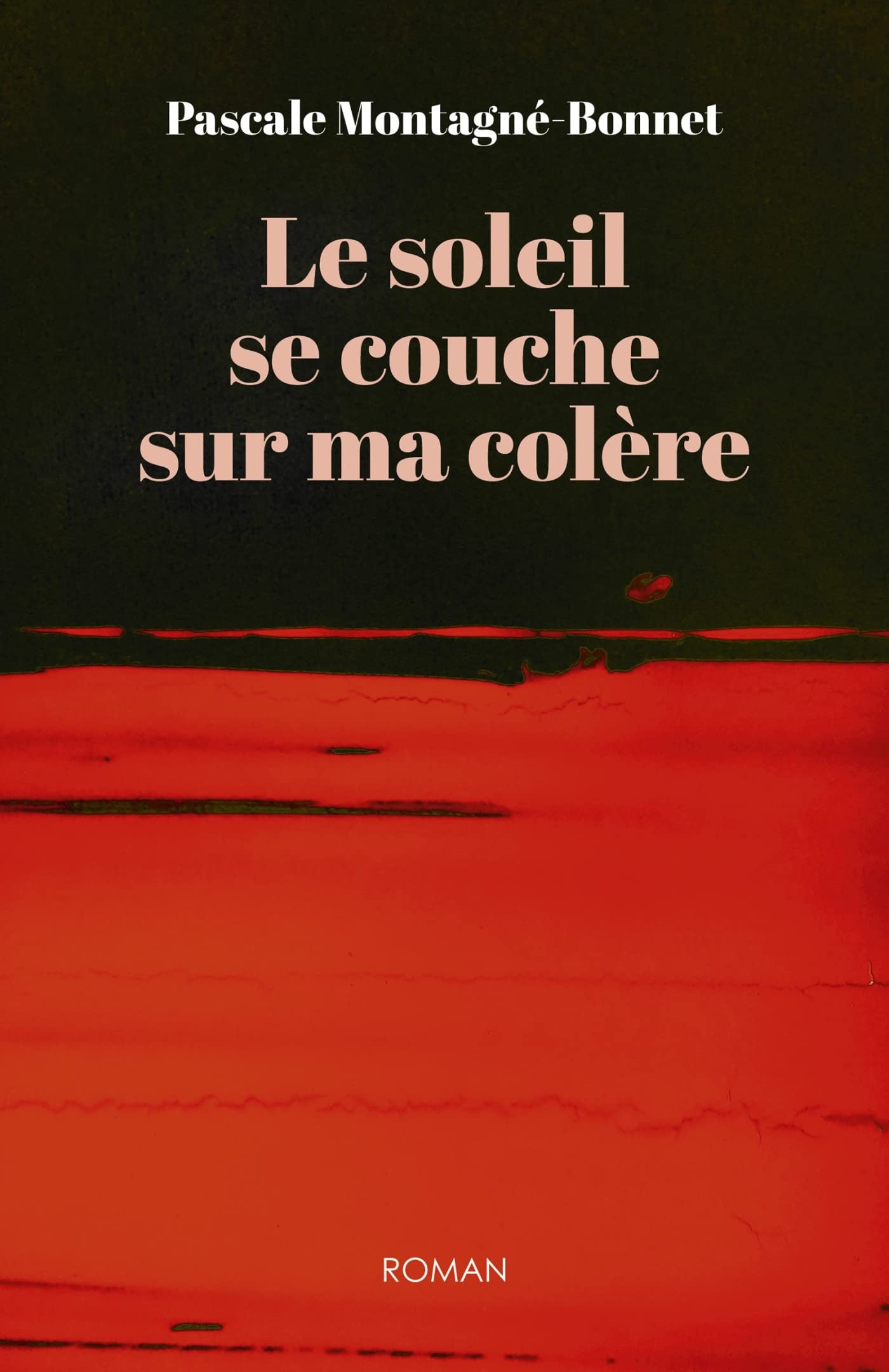 Le soleil se couche sur ma colère Contemporary literature