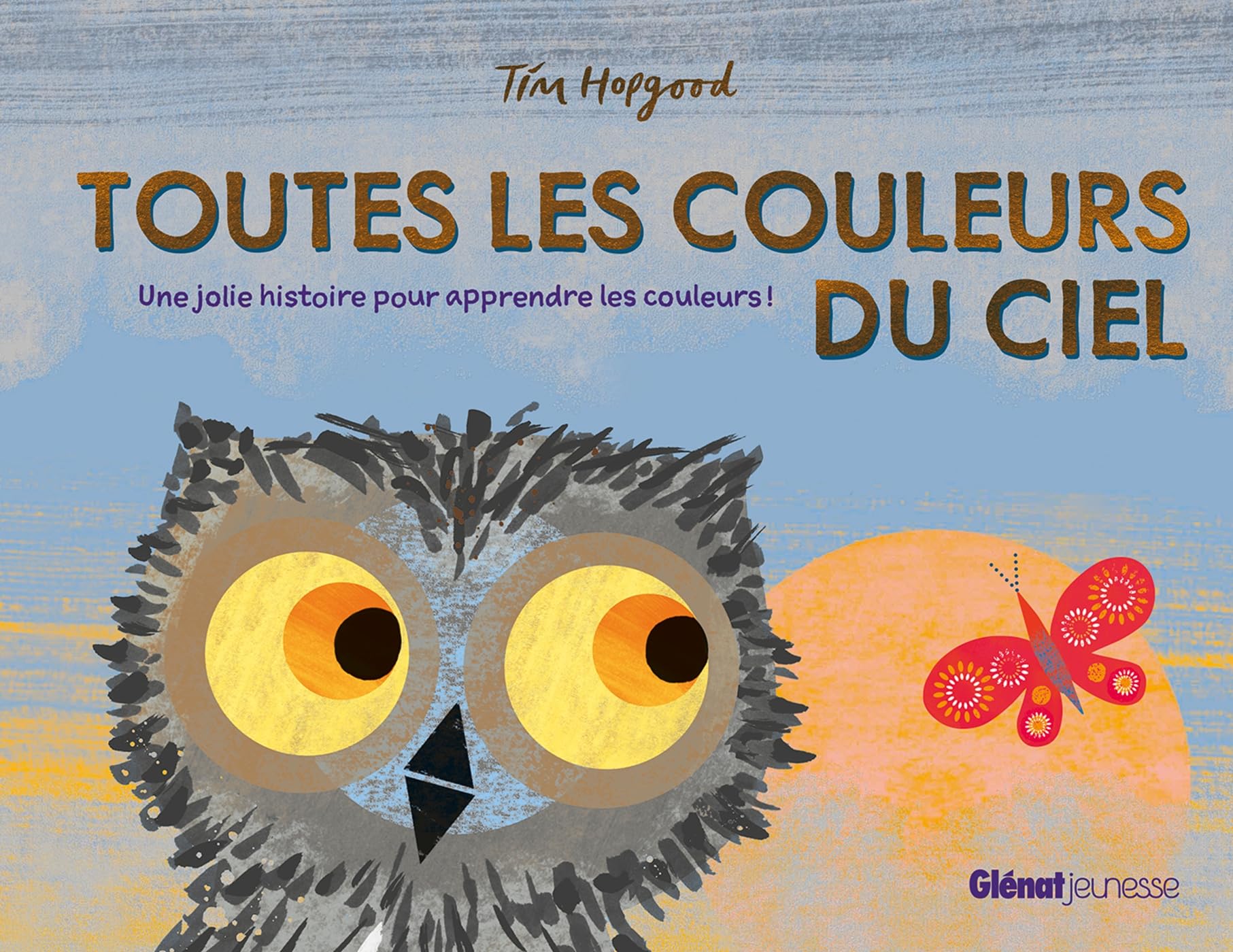 Toutes les couleurs du ciel book