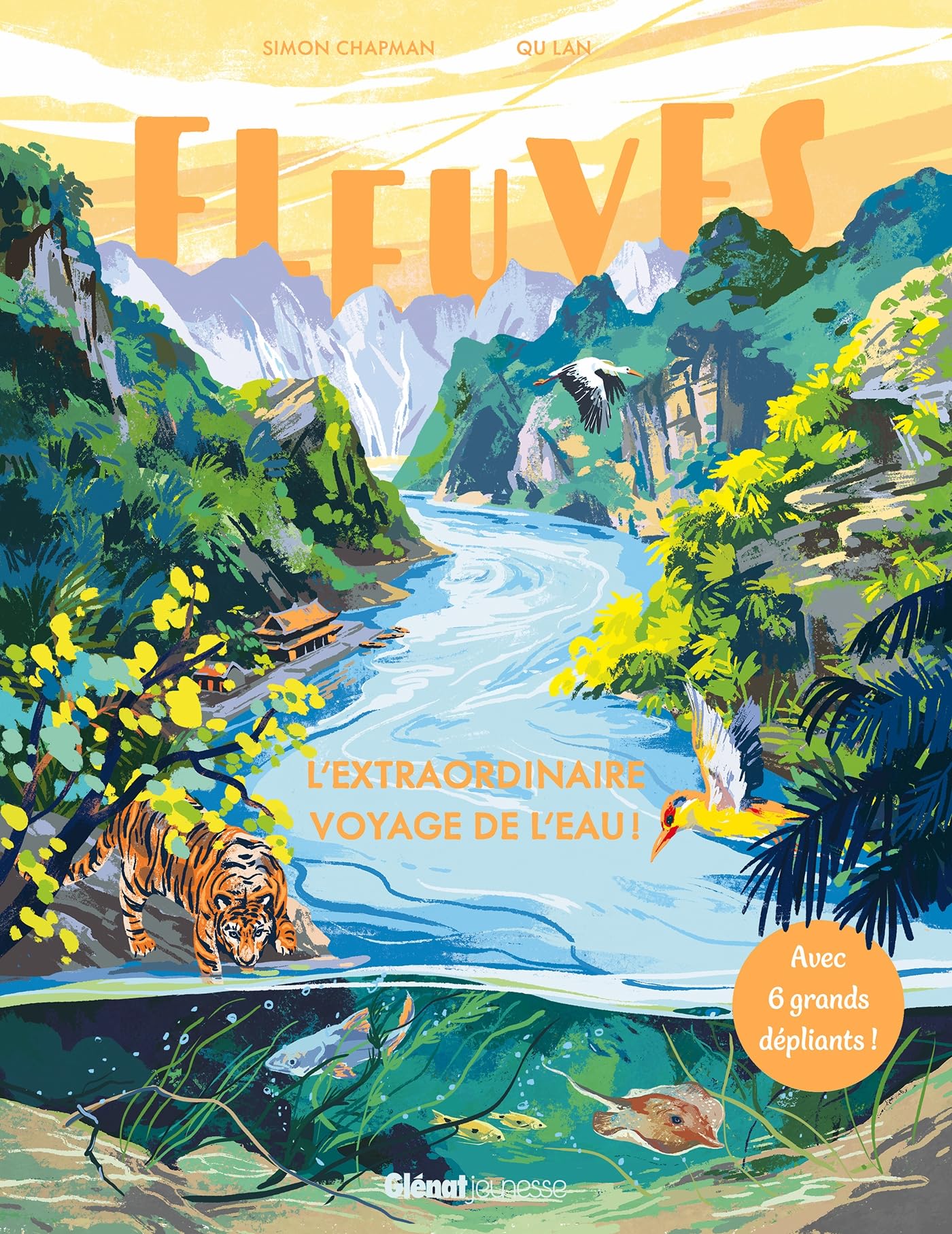 Fleuves: L'extraordinaire voyage de l'eau ! book