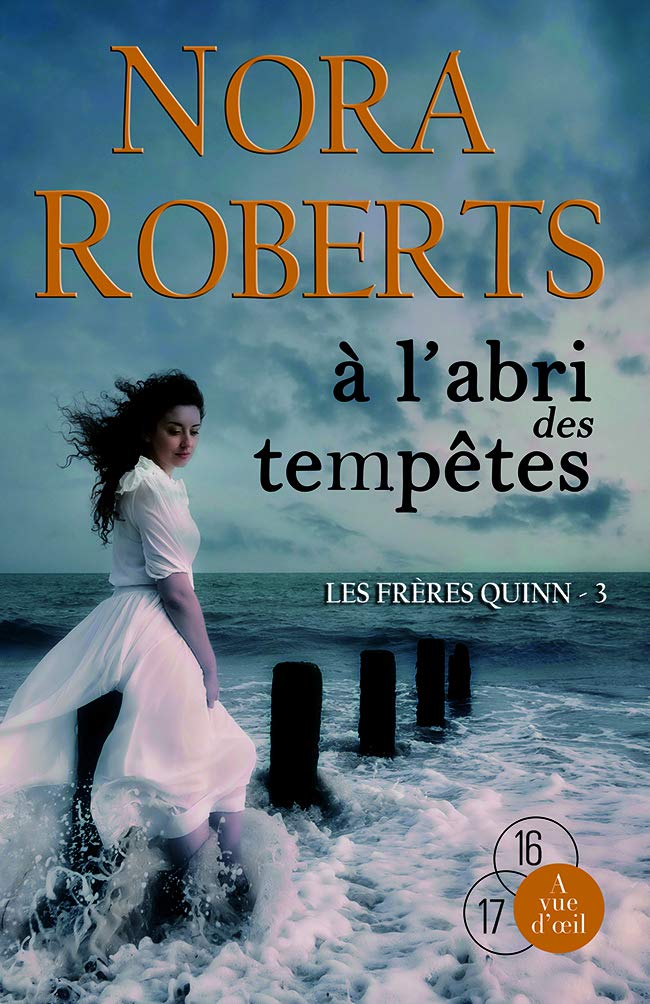 LES FRERES QUINN - 3 -A L'ABRI DES TEMPETES Contemporary literature