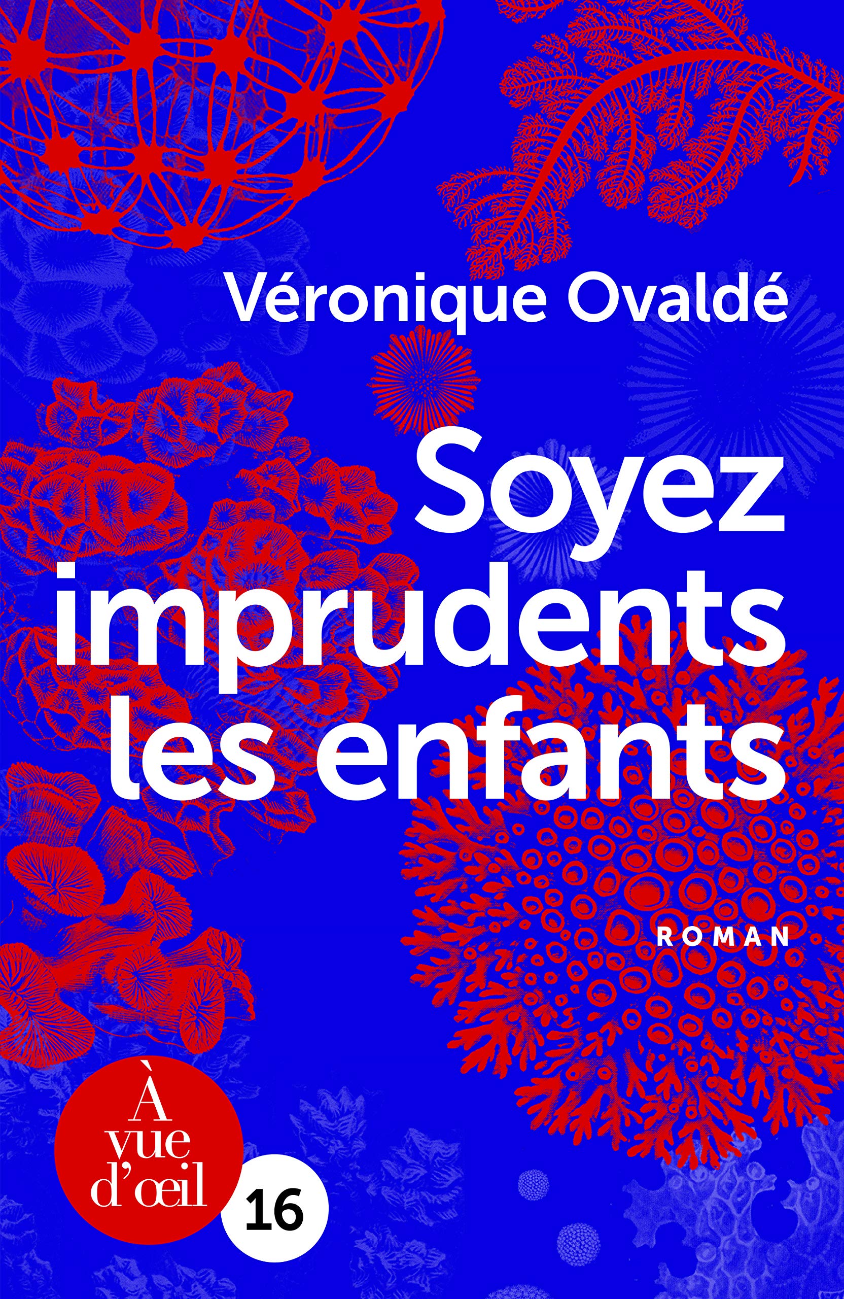 Soyez imprudents les enfants book