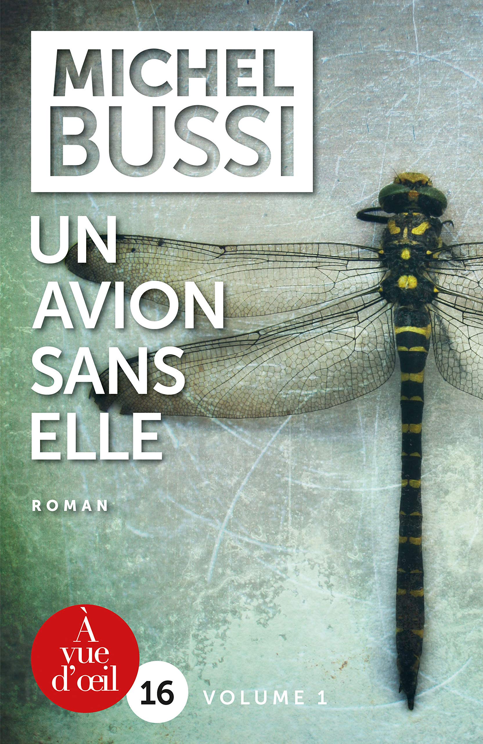 UN AVION SANS ELLE - 2 VOLUMES Contemporary literature
