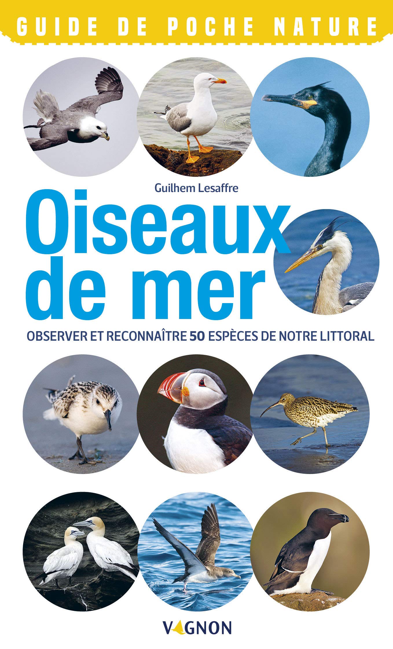 Oiseaux de mer: Observer et reconnaître 50 espèces de notre littoral Leisure, Home & Garden